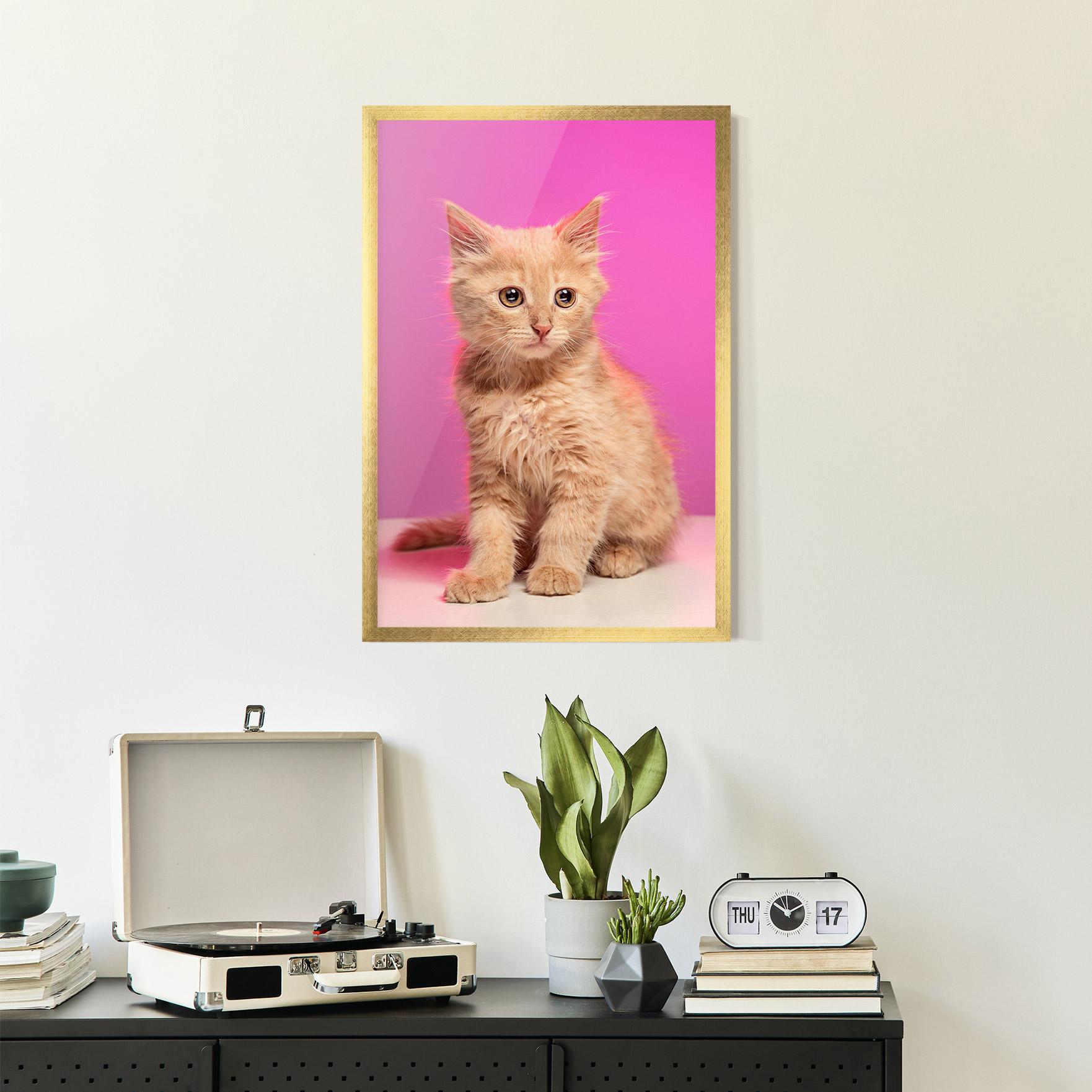 Plakat w Ramie Orange Cat On Pink mockup 2