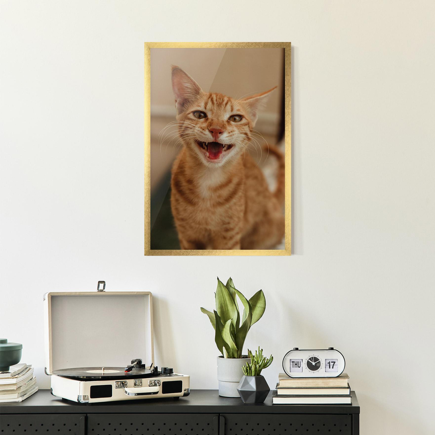 Plakat w Ramie Orange Cat Smiling mockup 2