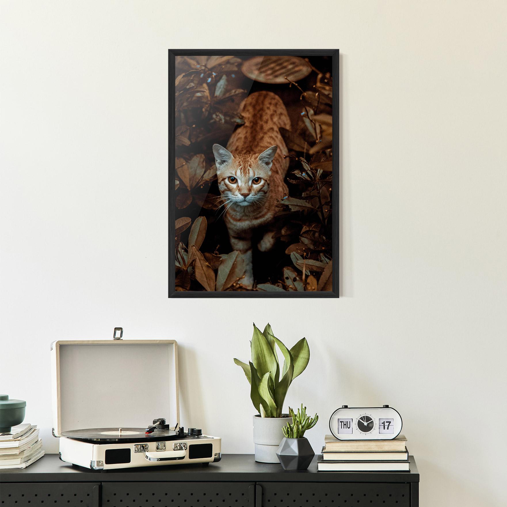 Plakat w Ramie Autumn Orange Cat mockup 2