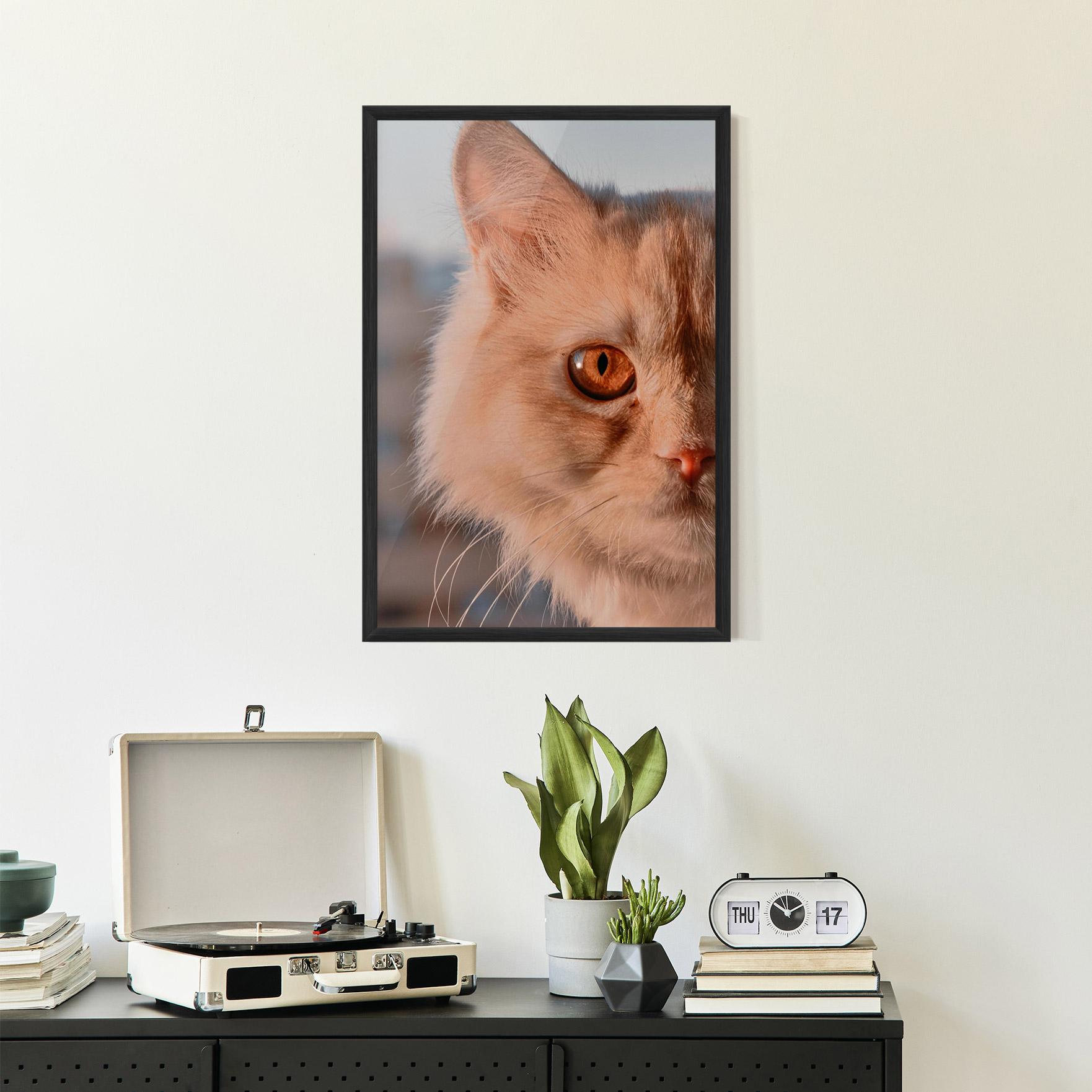 Plakat w Ramie Cat Eye In Sun mockup 2