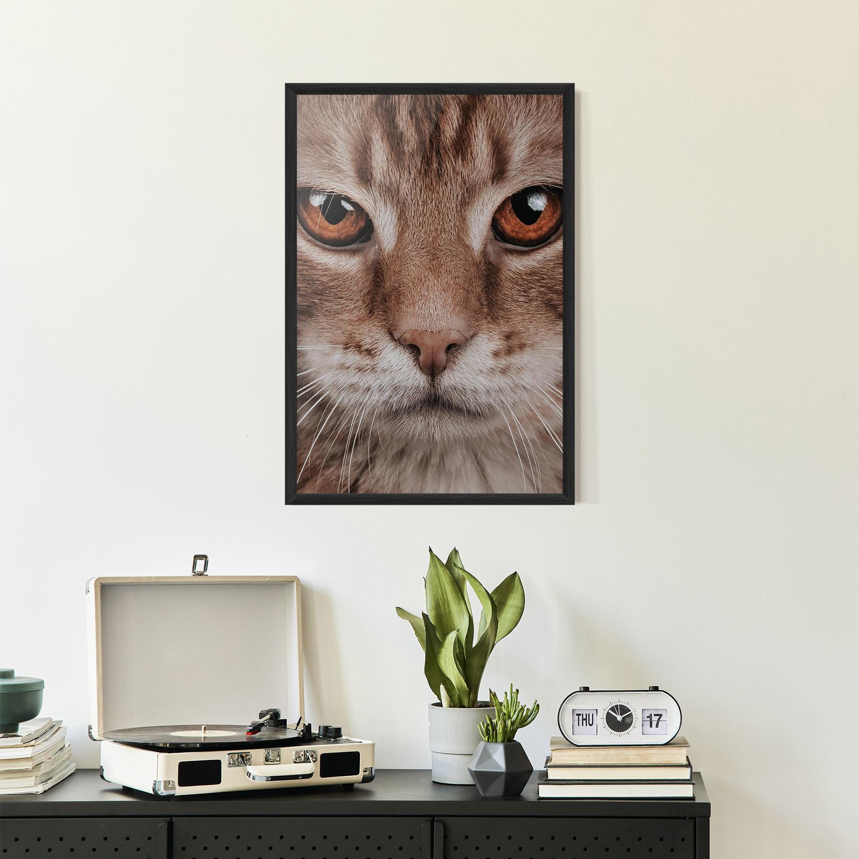 Plakat w Ramie Fire Eyes Cat mockup 2