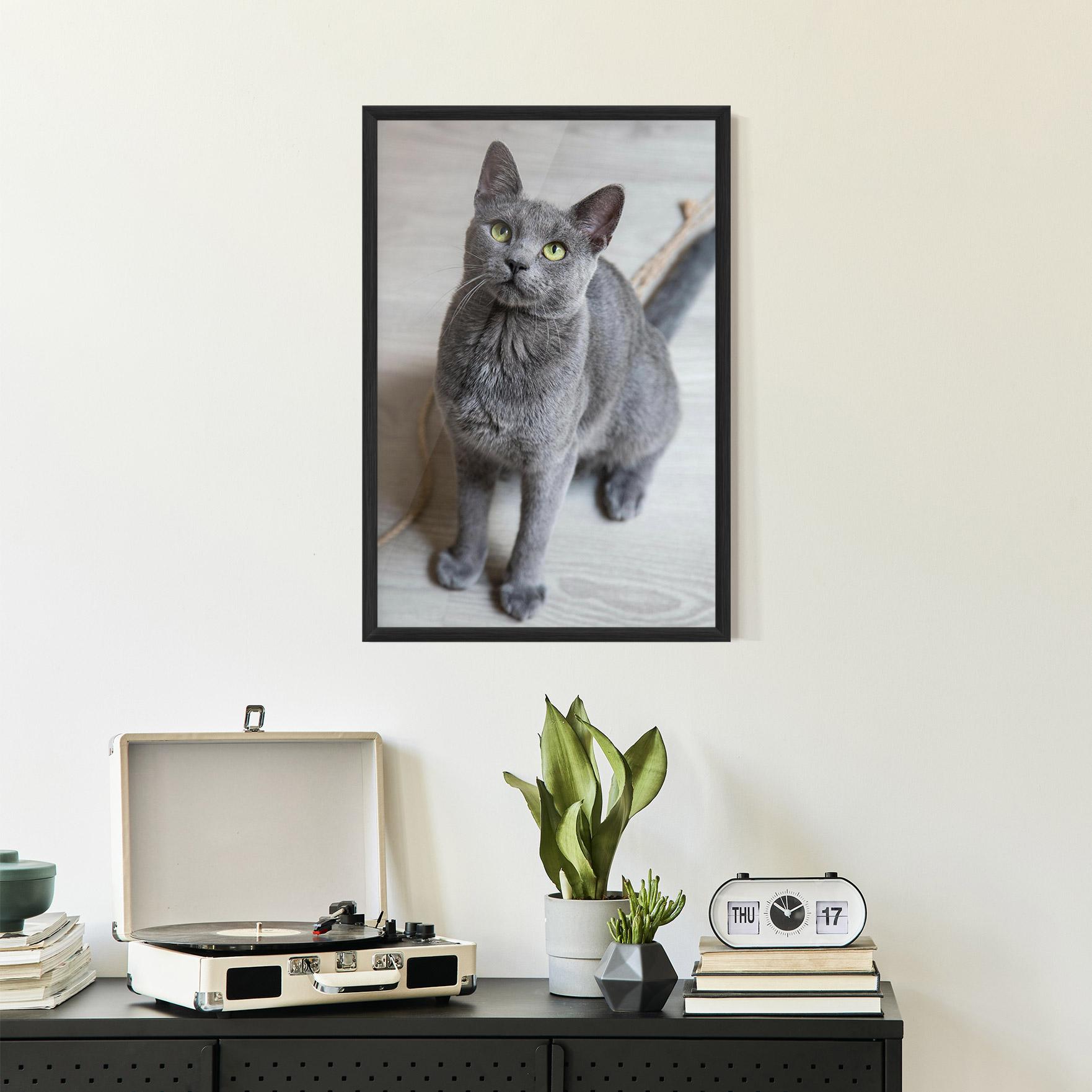 Plakat w Ramie Grey Green Cat Eyes mockup 2