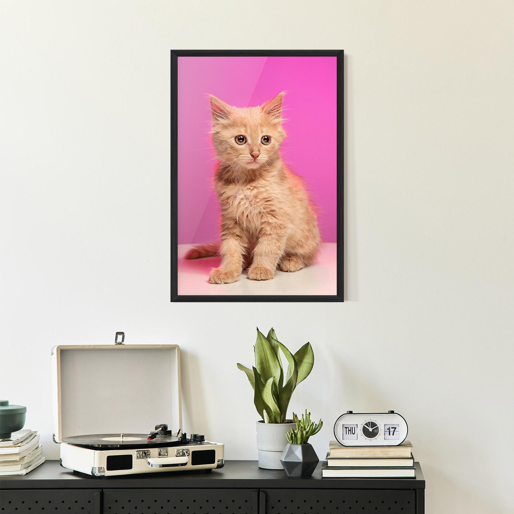 Plakat w Ramie Orange Cat On Pink mockup 2