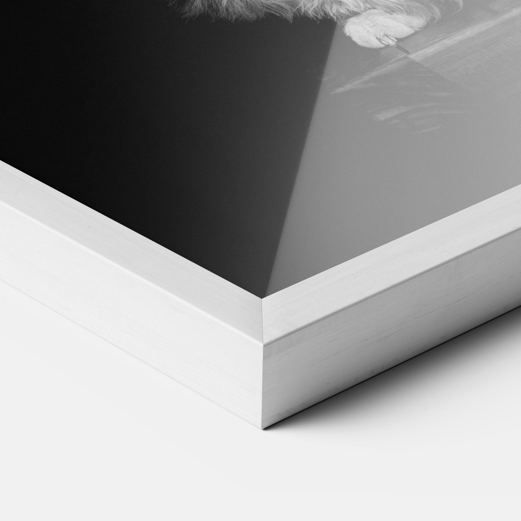 Plakat w Ramie Big Fluffy Cat mockup 3