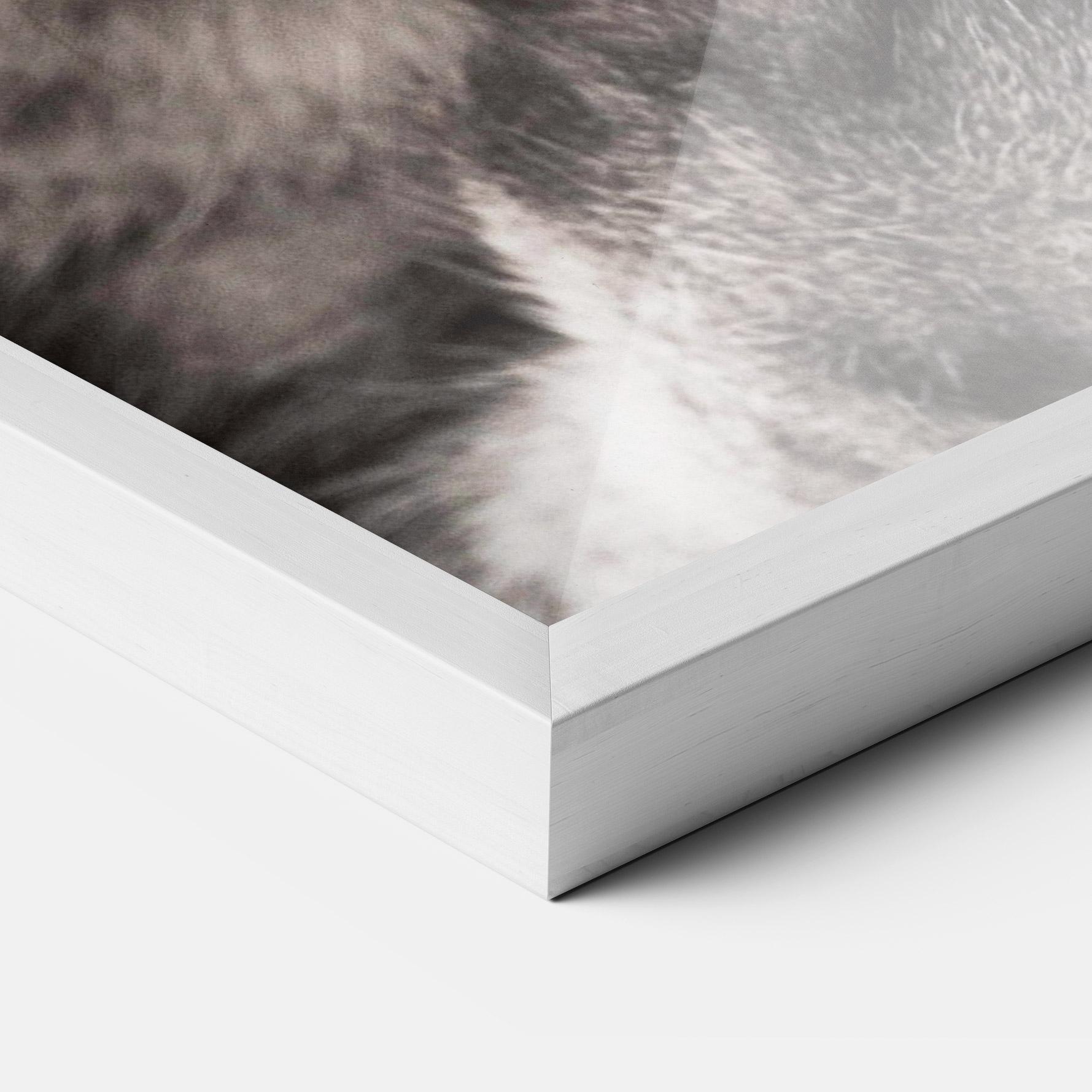 Plakat w Ramie Green Eyes Close Up Cat mockup 3