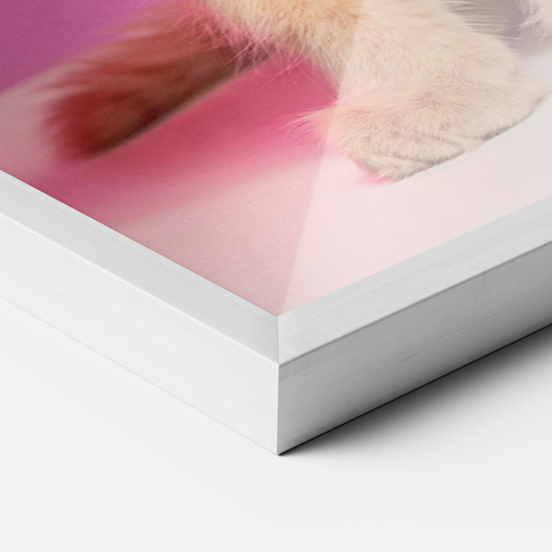 Plakat w Ramie Orange Cat On Pink mockup 3