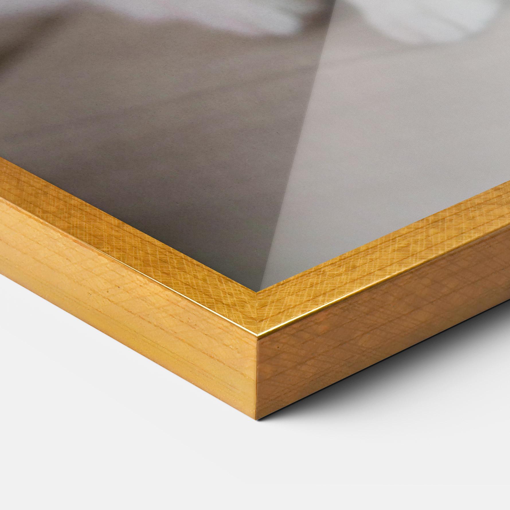 Plakat w Ramie Beautiful White Cat mockup 3