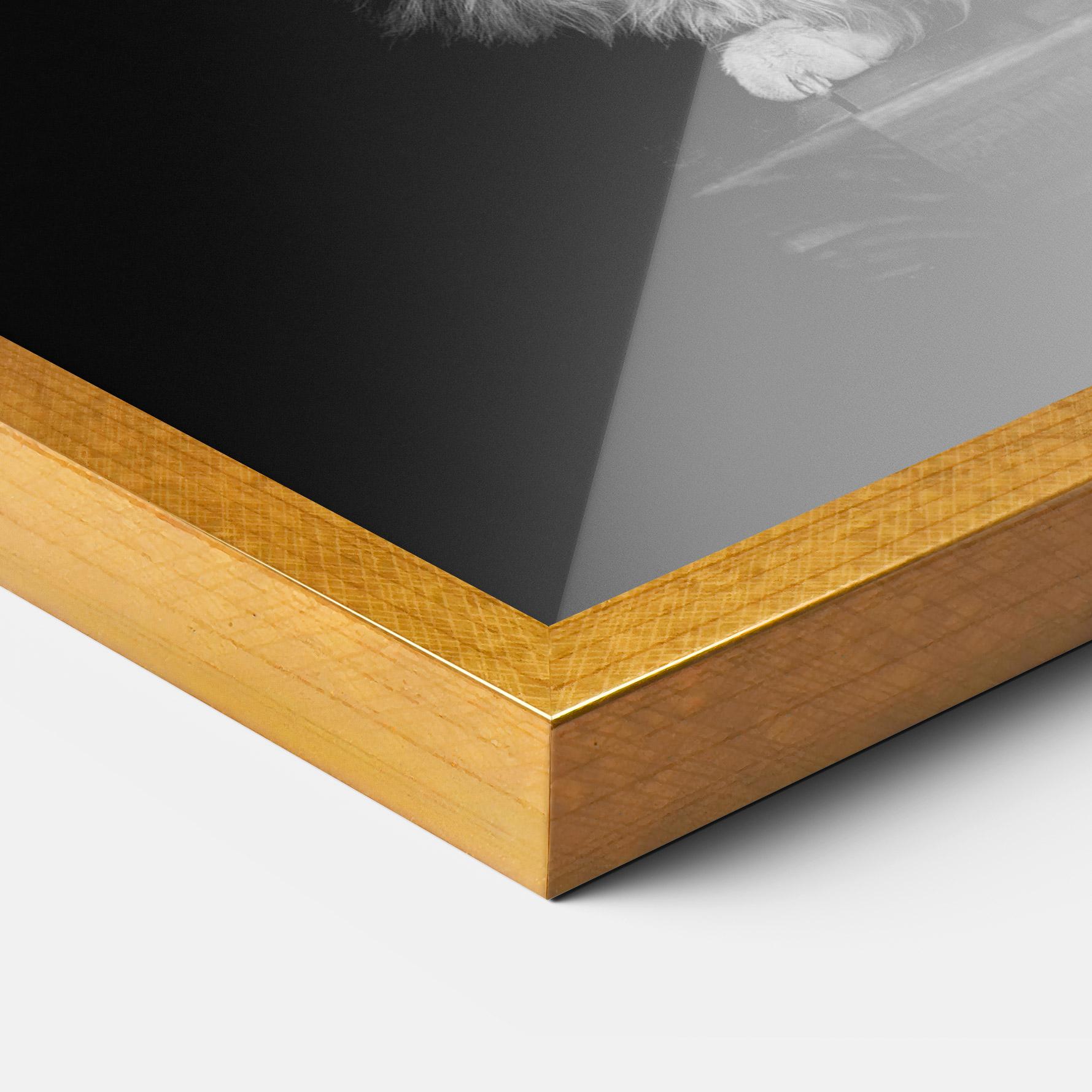 Plakat w Ramie Big Fluffy Cat mockup 3