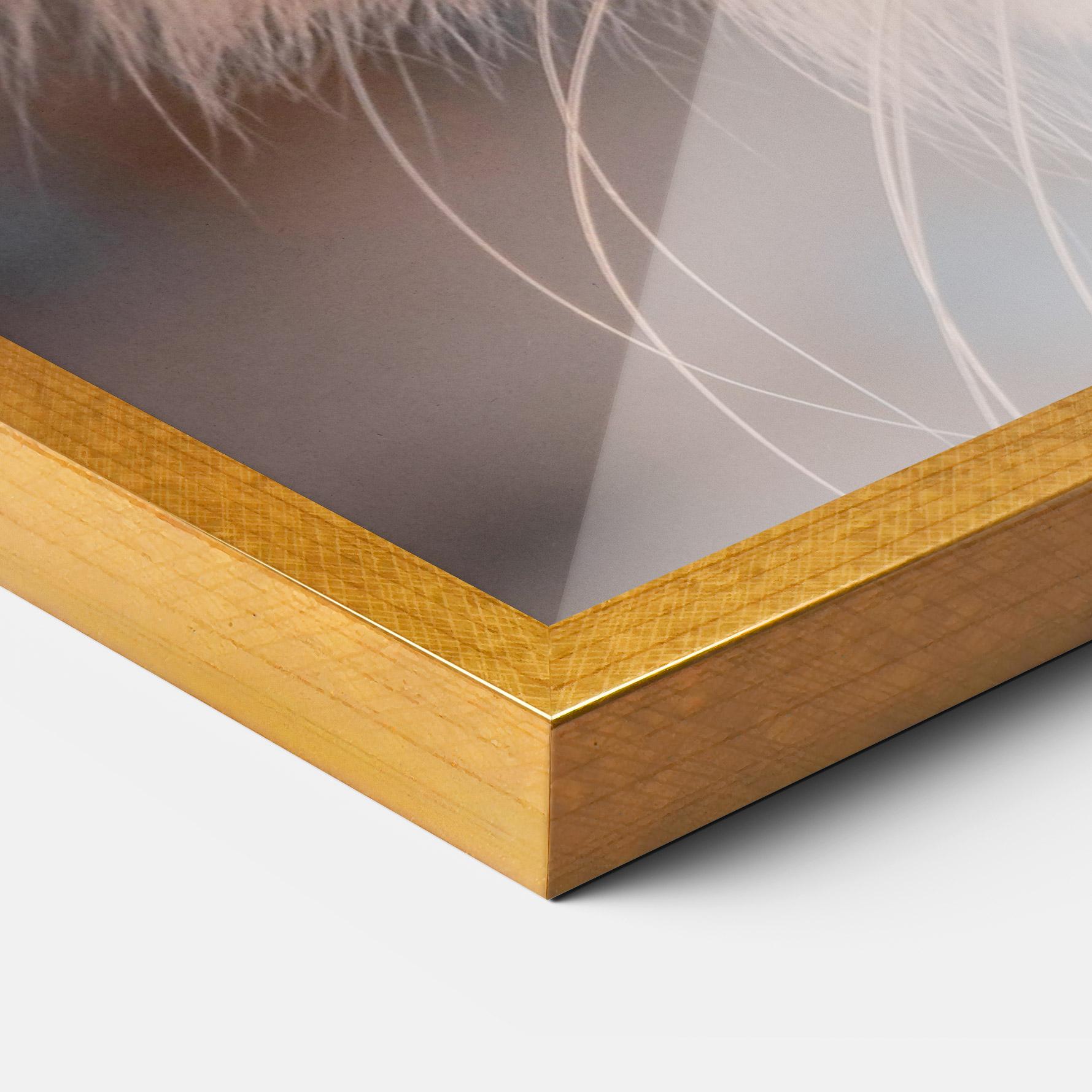 Plakat w Ramie Cat Eye In Sun mockup 3