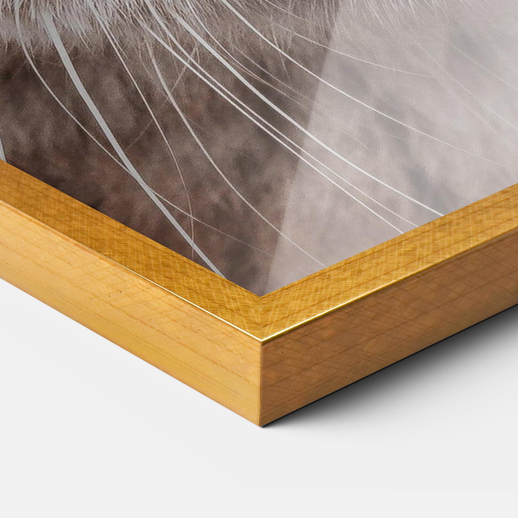 Plakat w Ramie Fire Eyes Cat mockup 3