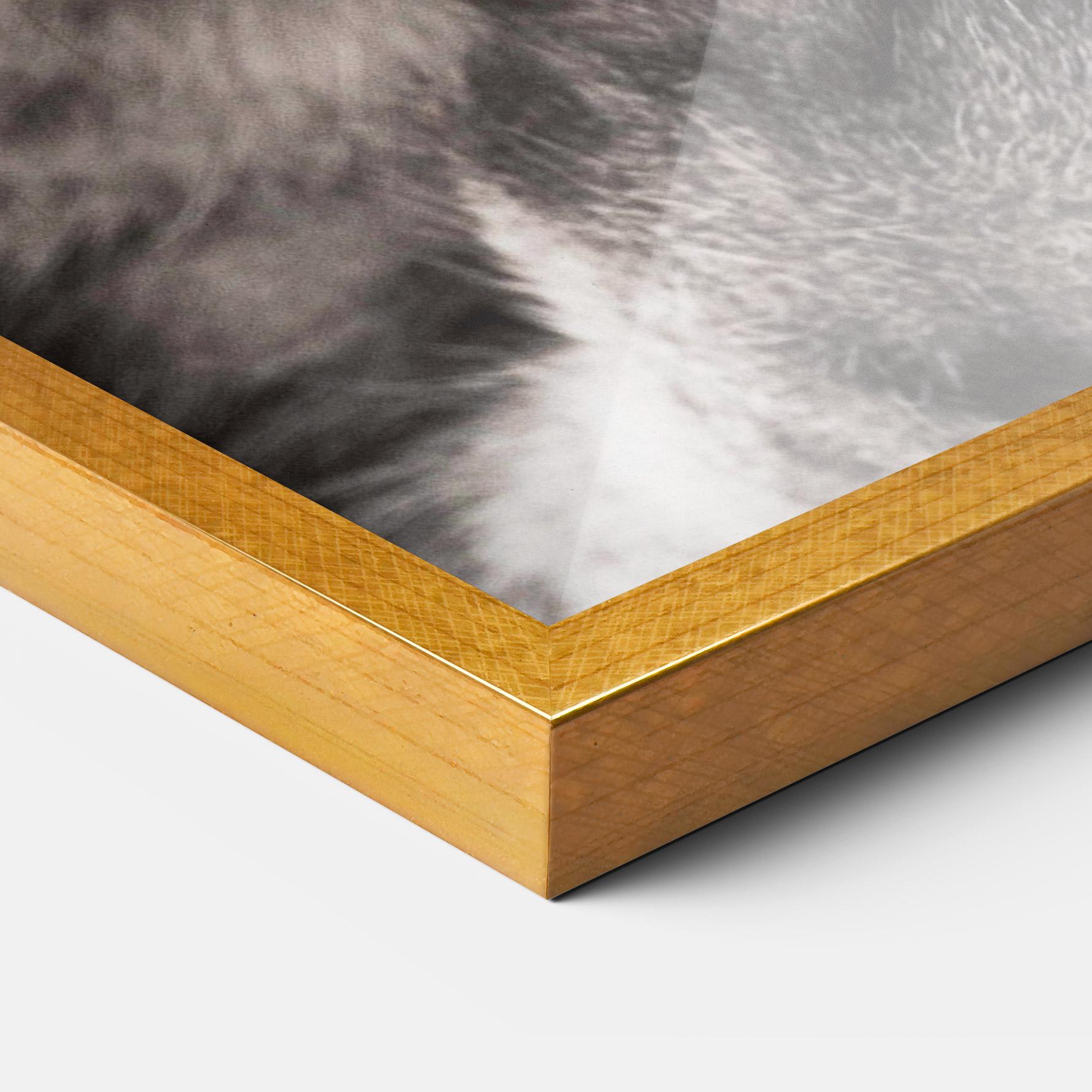 Plakat w Ramie Green Eyes Close Up Cat mockup 3