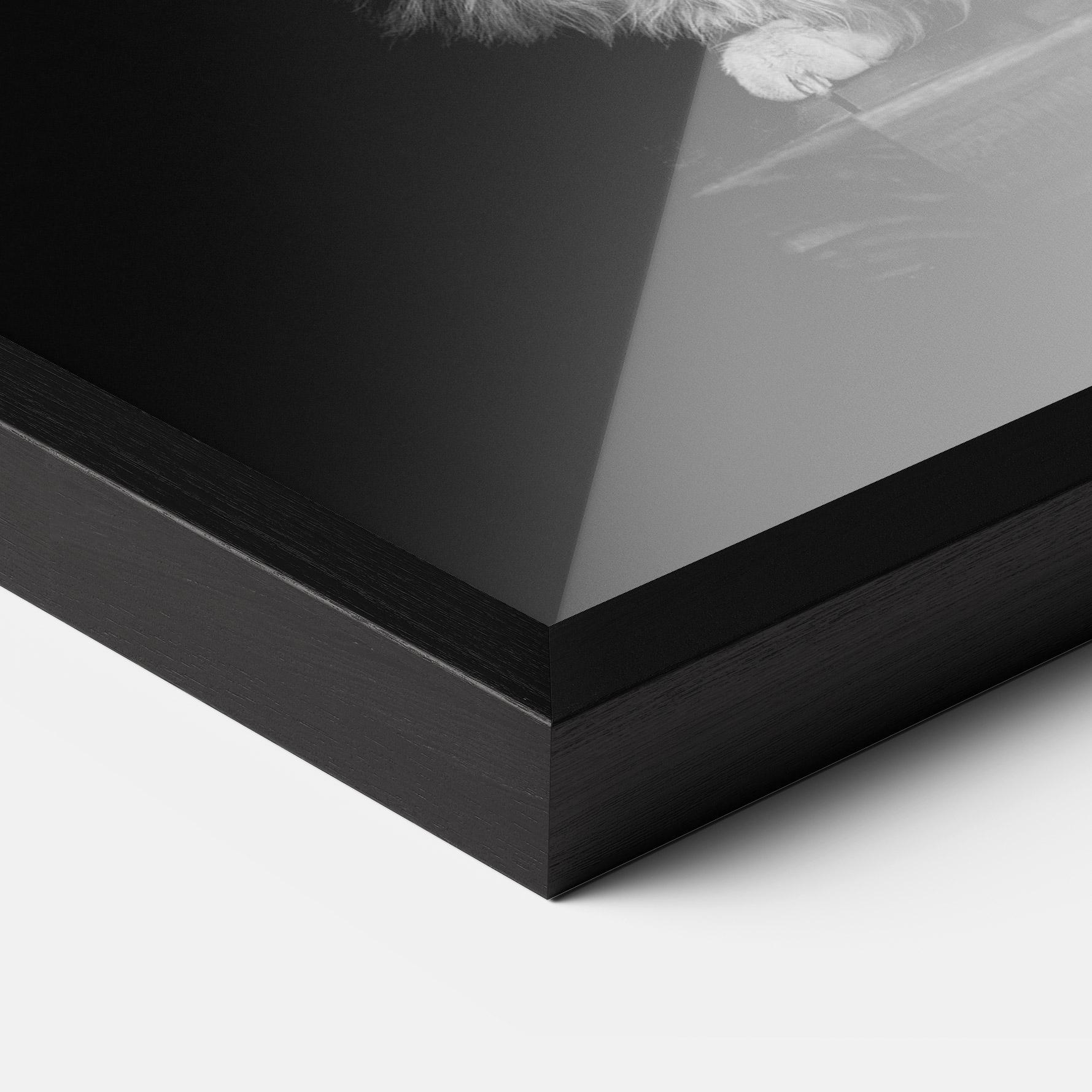 Plakat w Ramie Big Fluffy Cat mockup 3