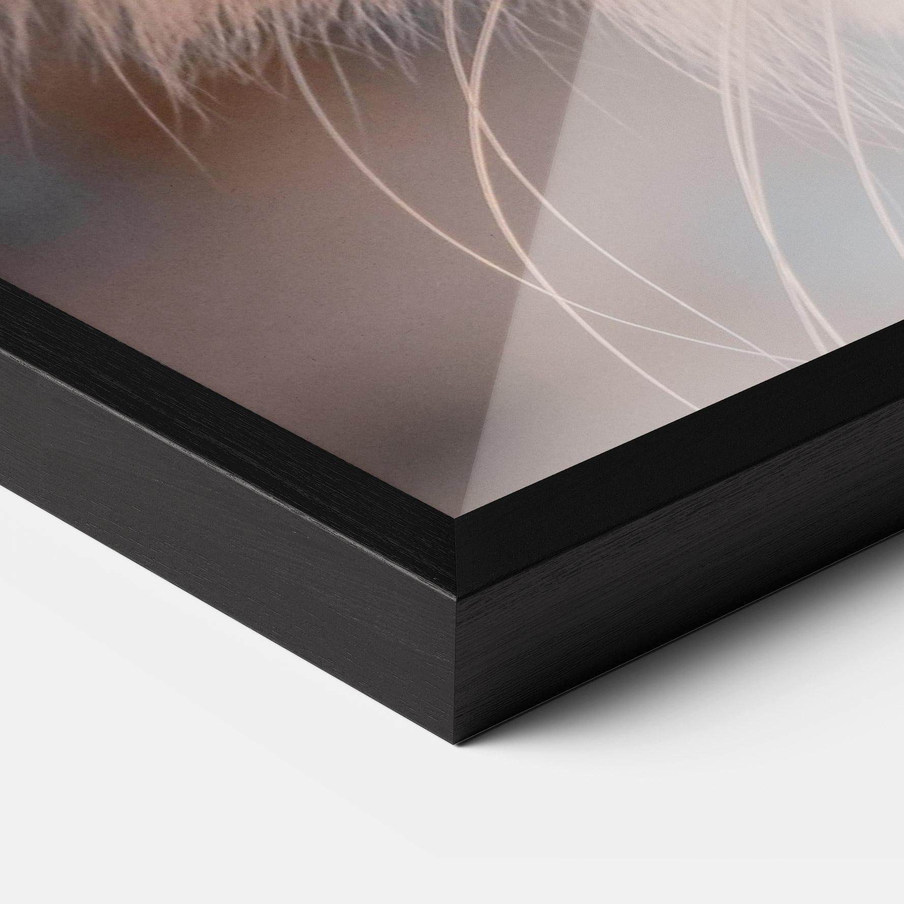 Plakat w Ramie Cat Eye In Sun mockup 3