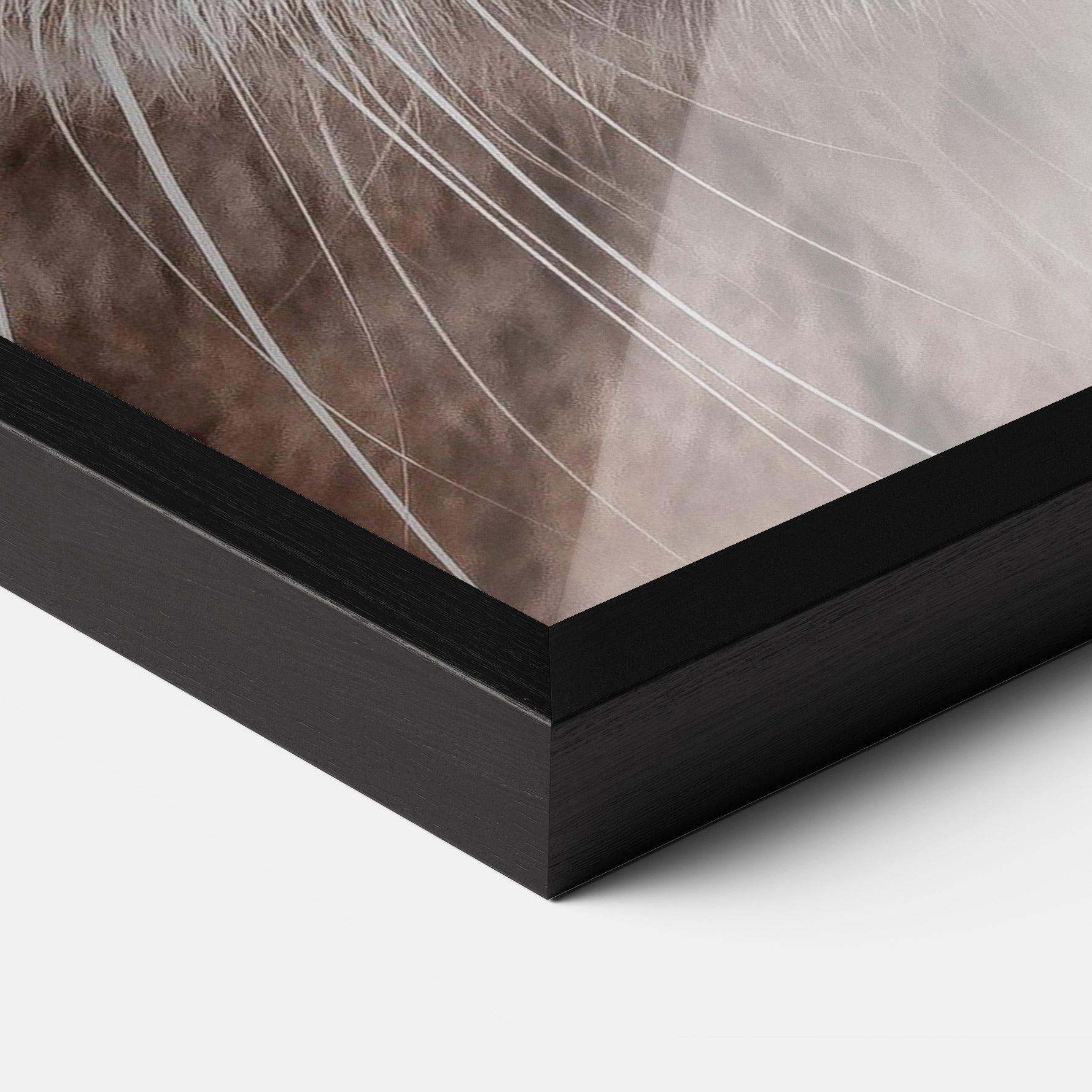 Plakat w Ramie Fire Eyes Cat mockup 3