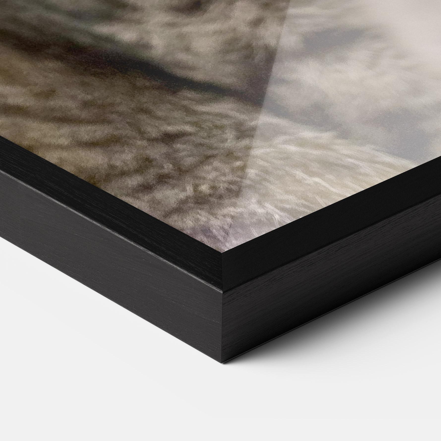 Plakat w Ramie Yellow Eyes Cat mockup 3