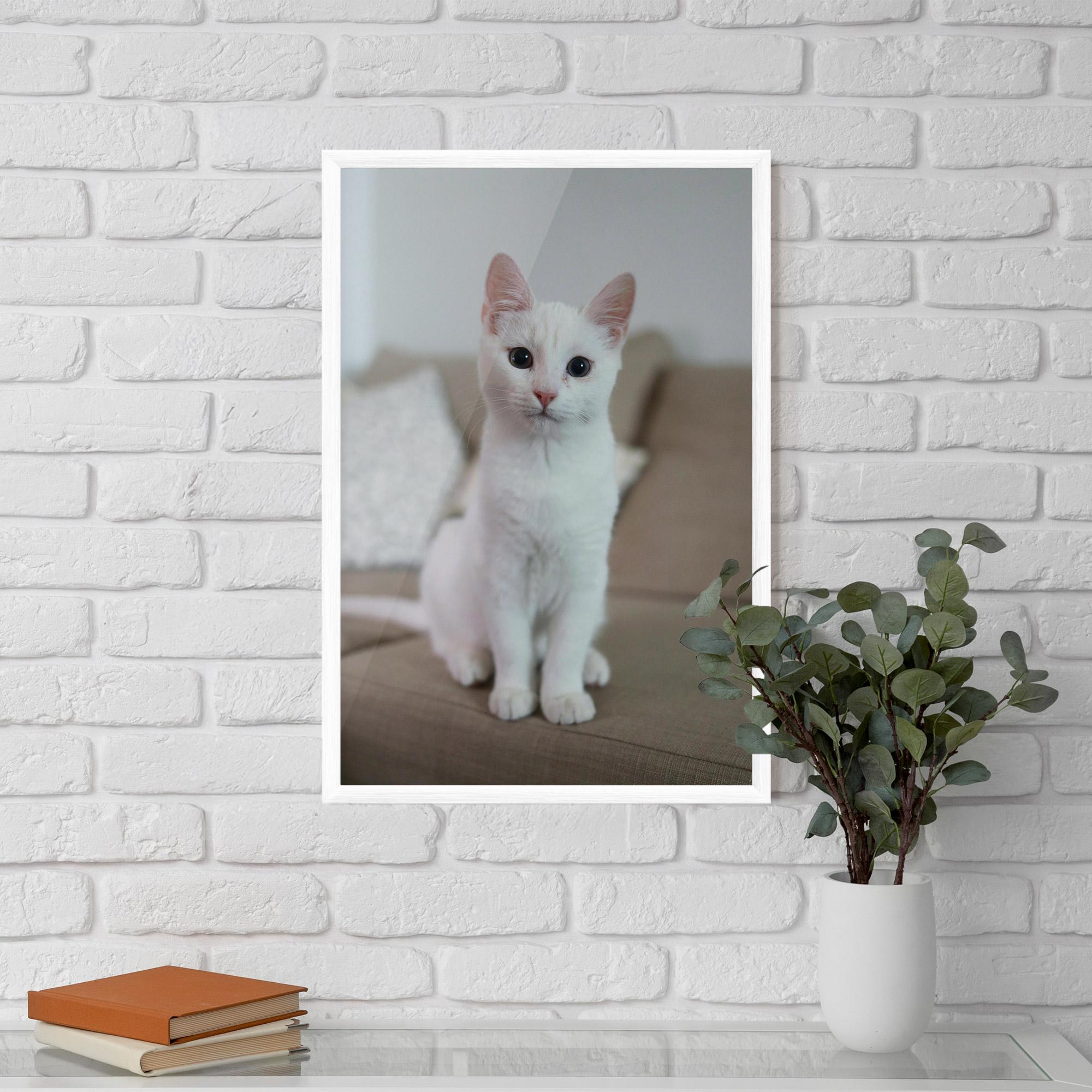 Plakat w Ramie Beautiful White Cat mockup 5