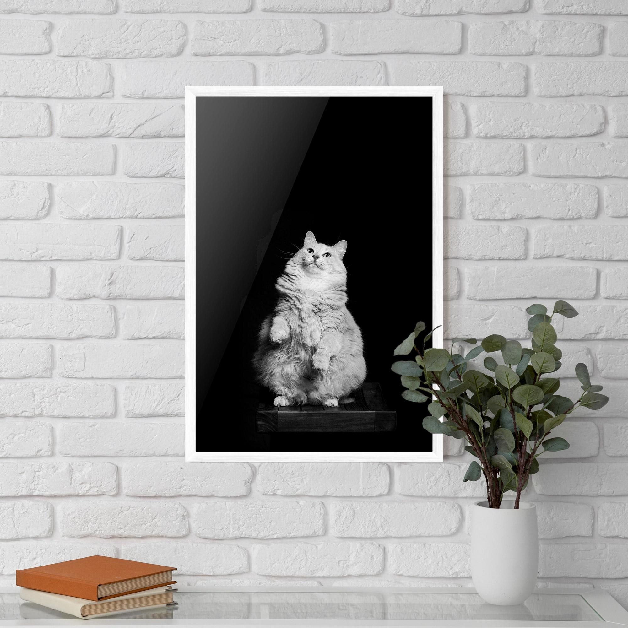 Plakat w Ramie Big Fluffy Cat mockup 5