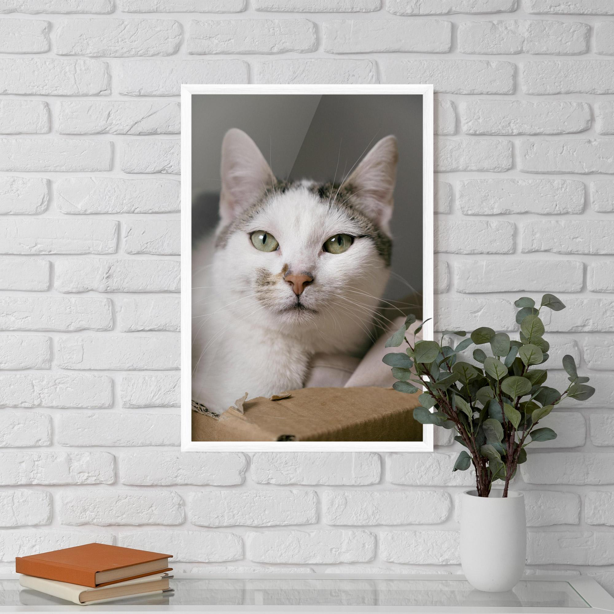 Plakat w Ramie Big Sleepy Cat mockup 5