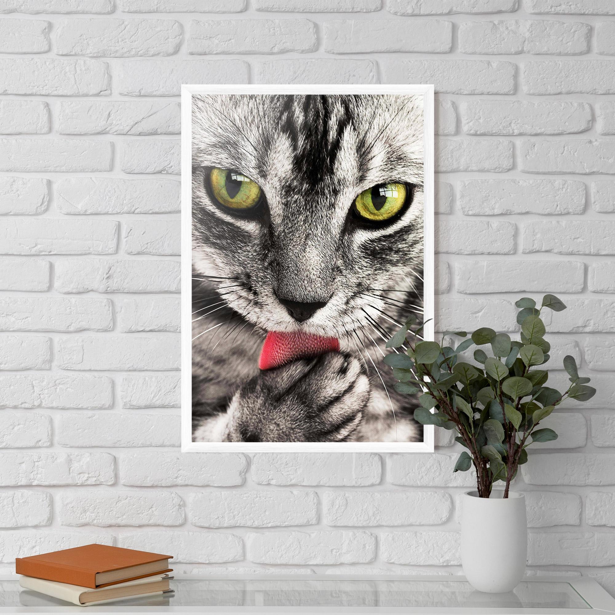 Plakat w Ramie Green Eyes Close Up Cat mockup 5