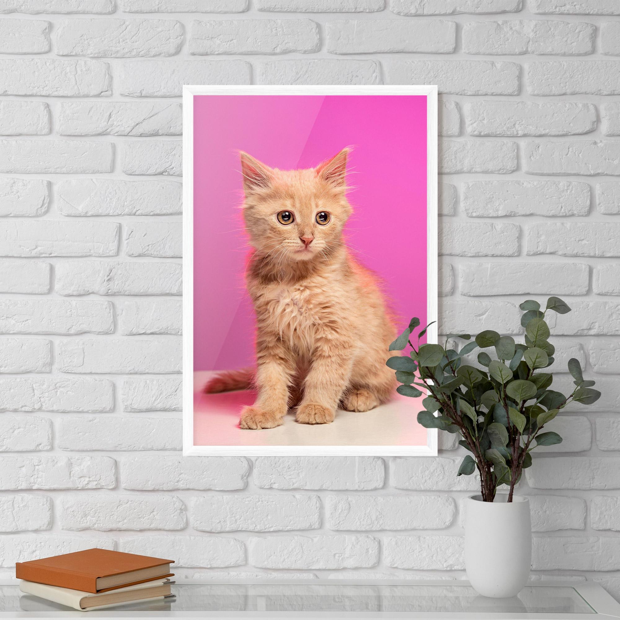 Plakat w Ramie Orange Cat On Pink mockup 5