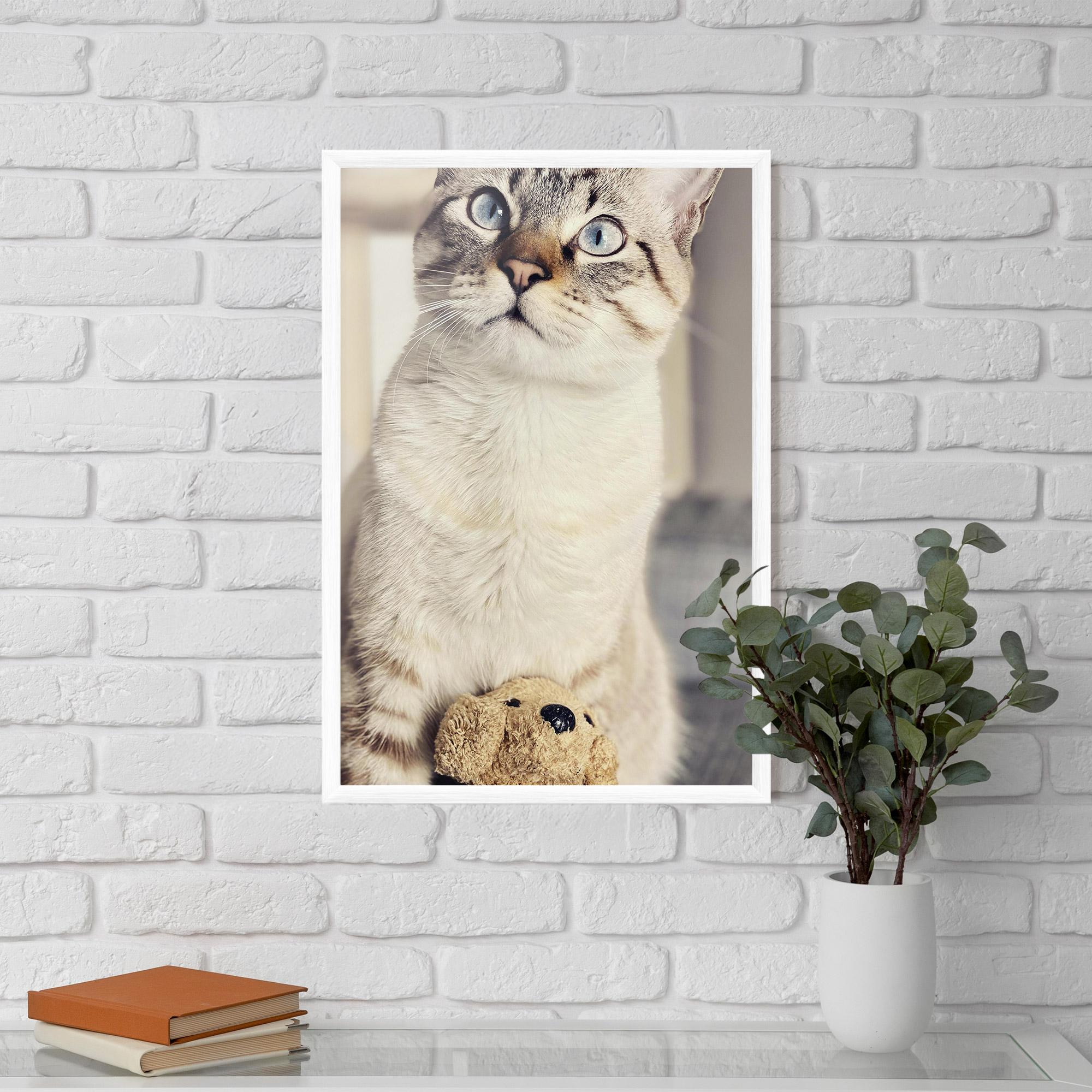 Plakat w Ramie Pretty Blue Eyes Cat mockup 5