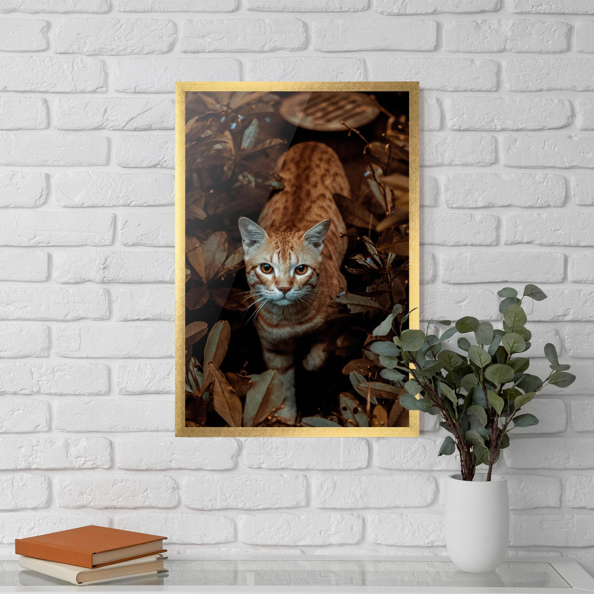 Plakat w Ramie Autumn Orange Cat mockup 5