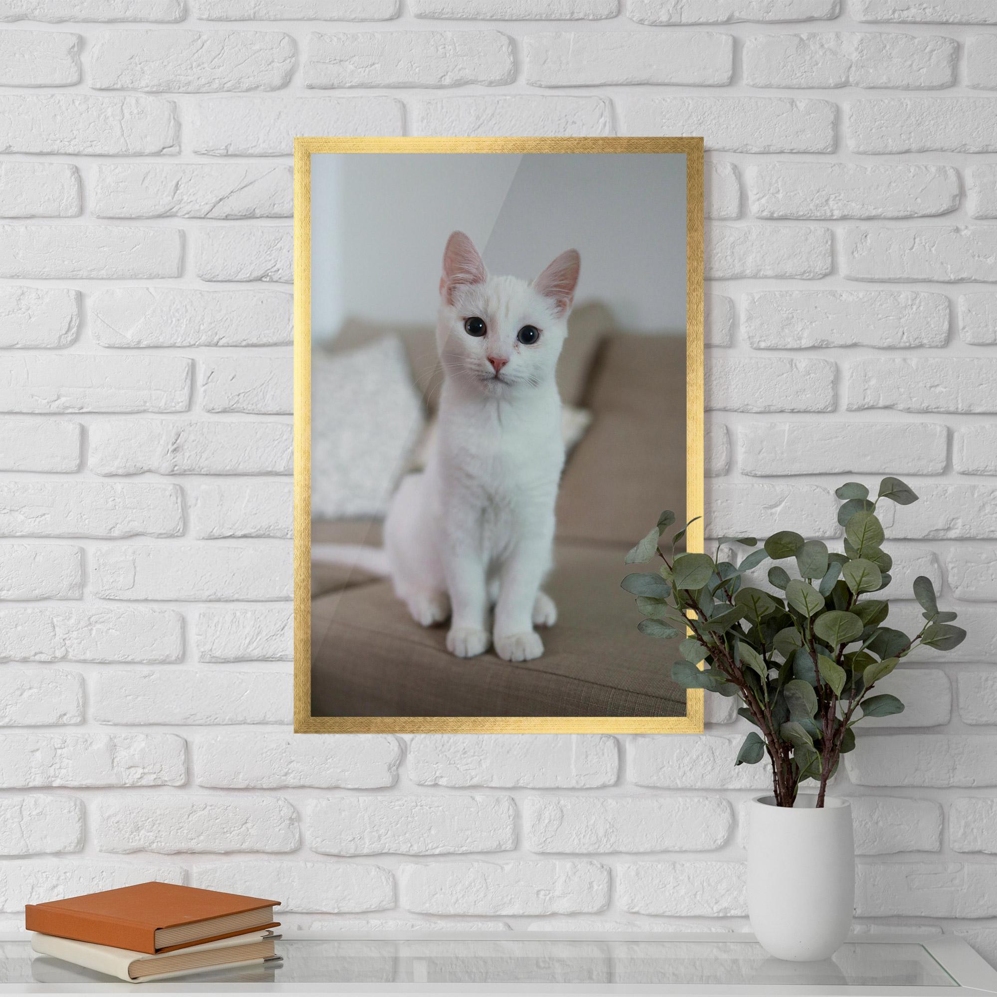 Plakat w Ramie Beautiful White Cat mockup 5