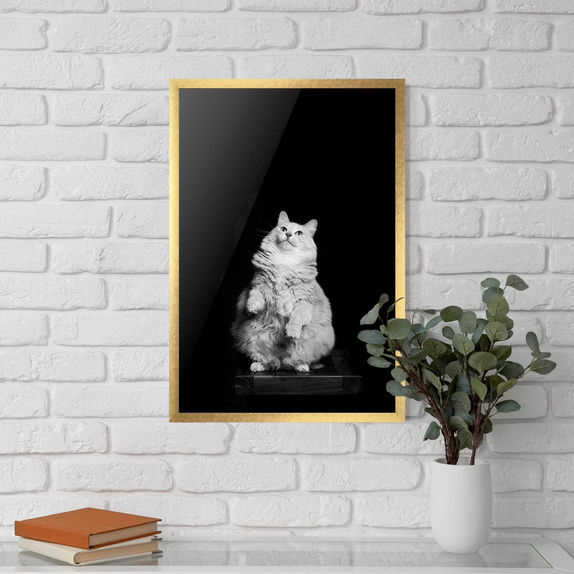 Plakat w Ramie Big Fluffy Cat mockup 5