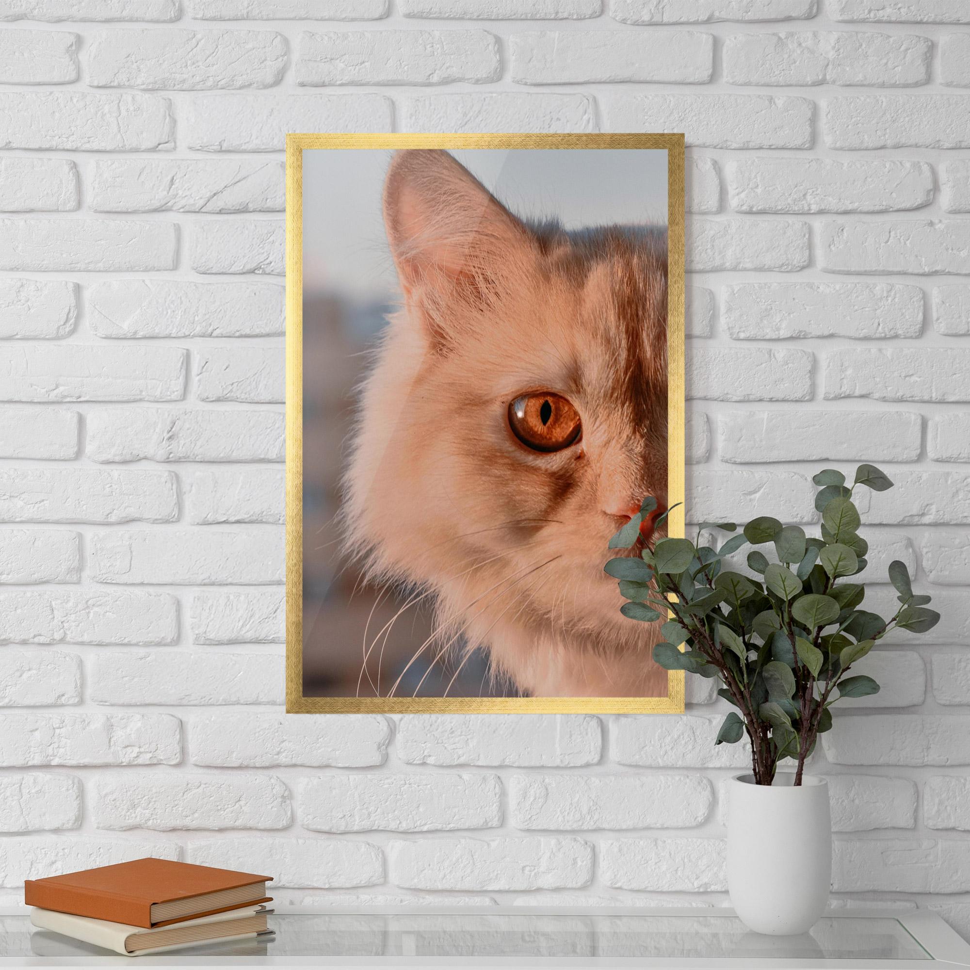Plakat w Ramie Cat Eye In Sun mockup 5