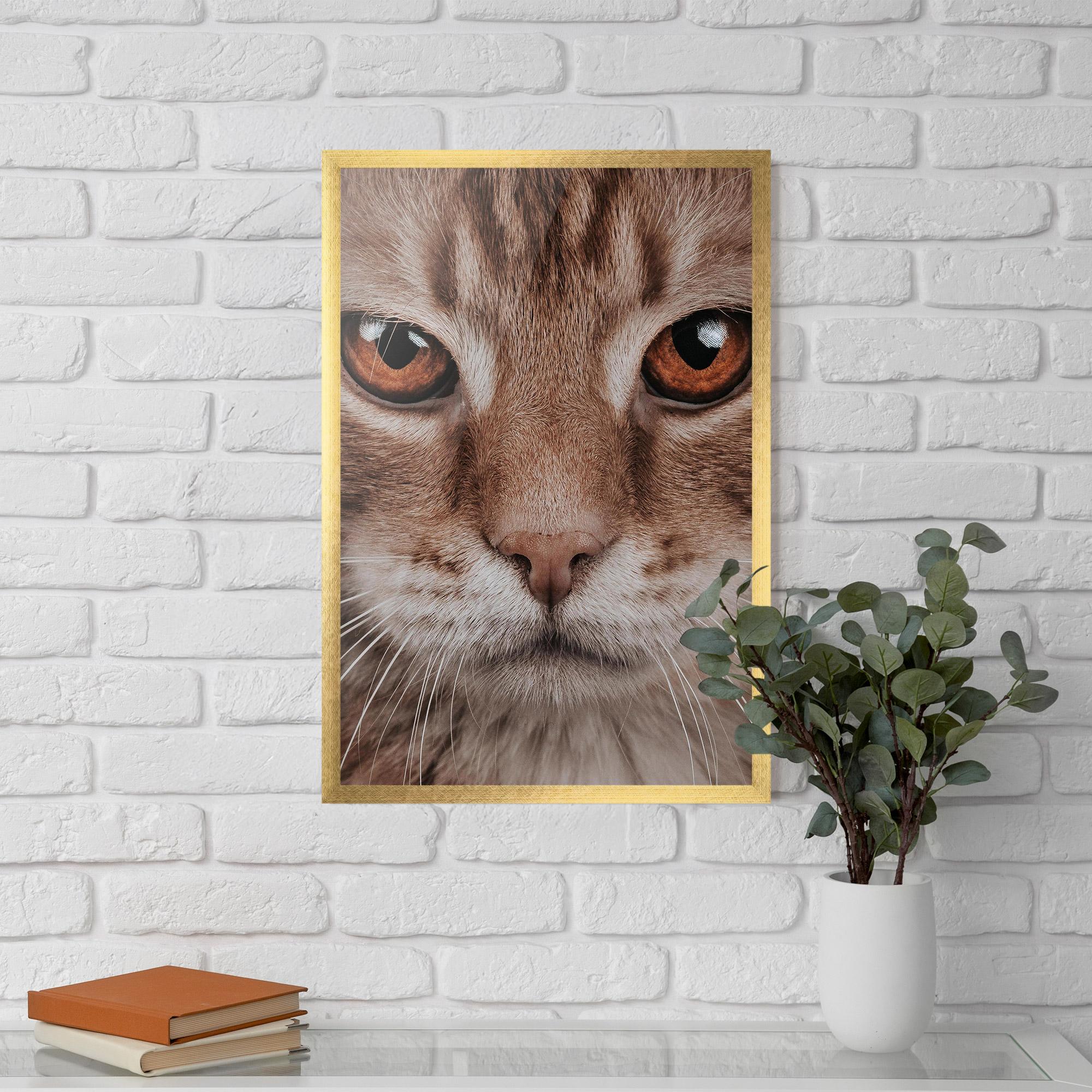 Plakat w Ramie Fire Eyes Cat mockup 5