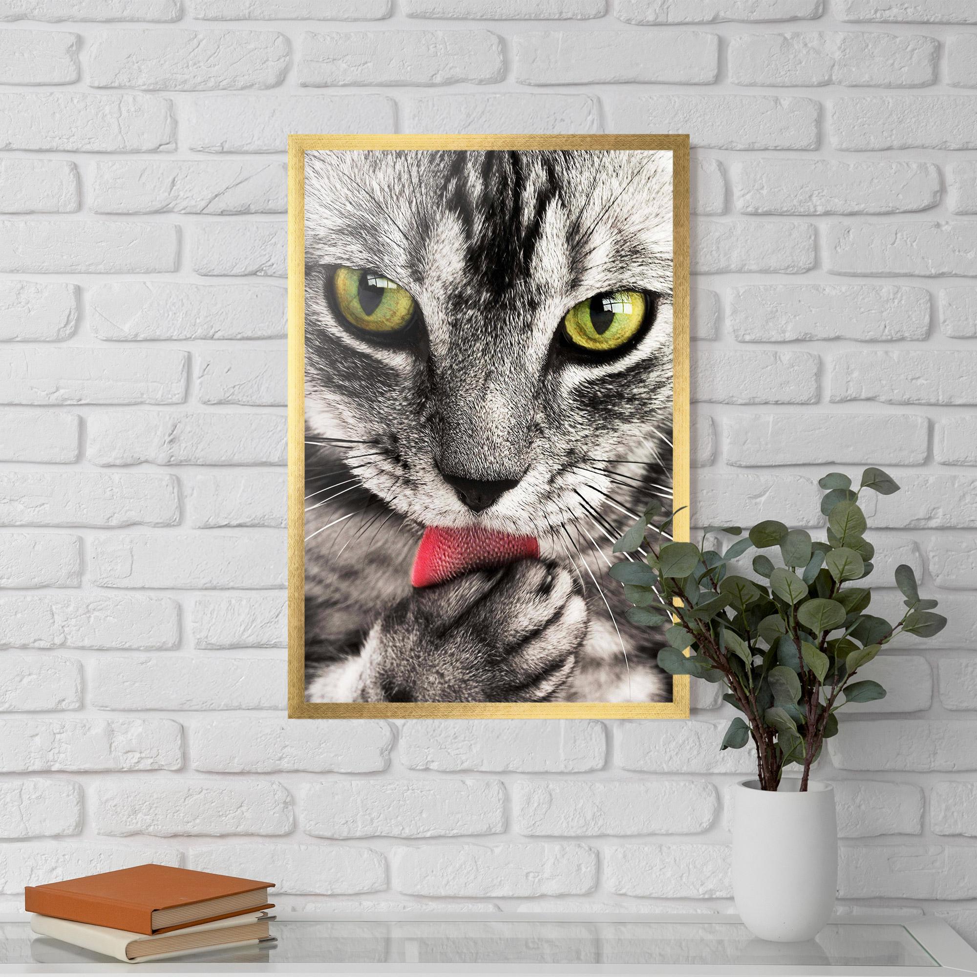 Plakat w Ramie Green Eyes Close Up Cat mockup 5