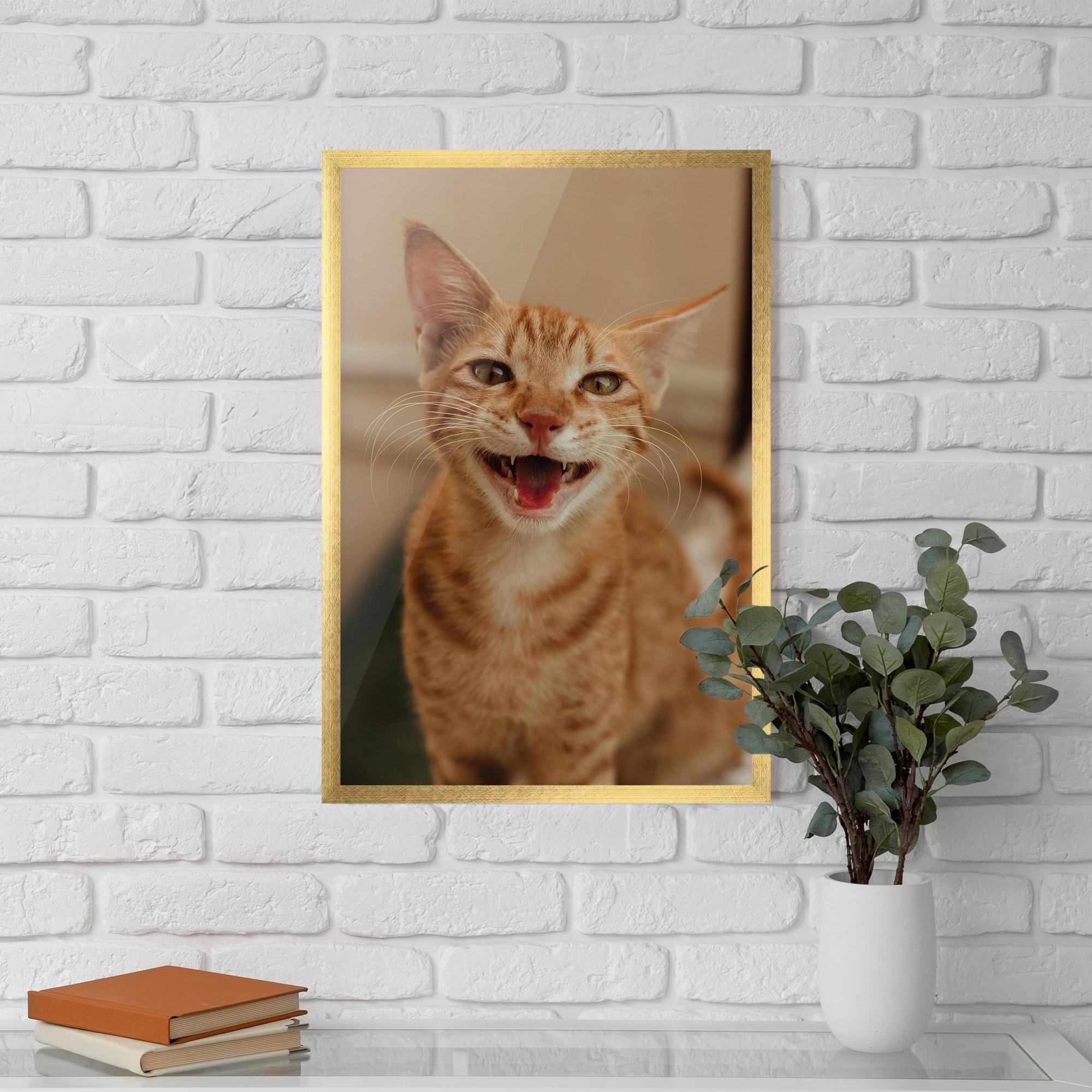 Plakat w Ramie Orange Cat Smiling mockup 5