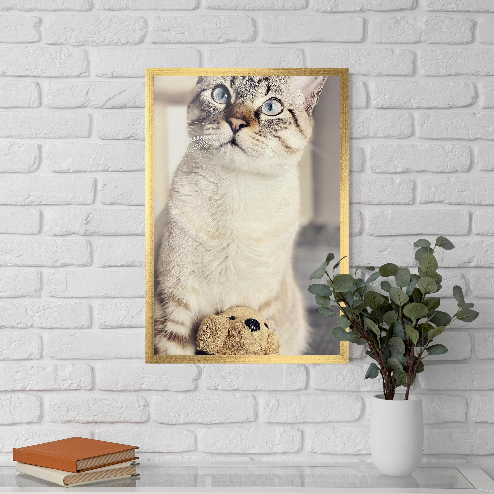 Plakat w Ramie Pretty Blue Eyes Cat mockup 5