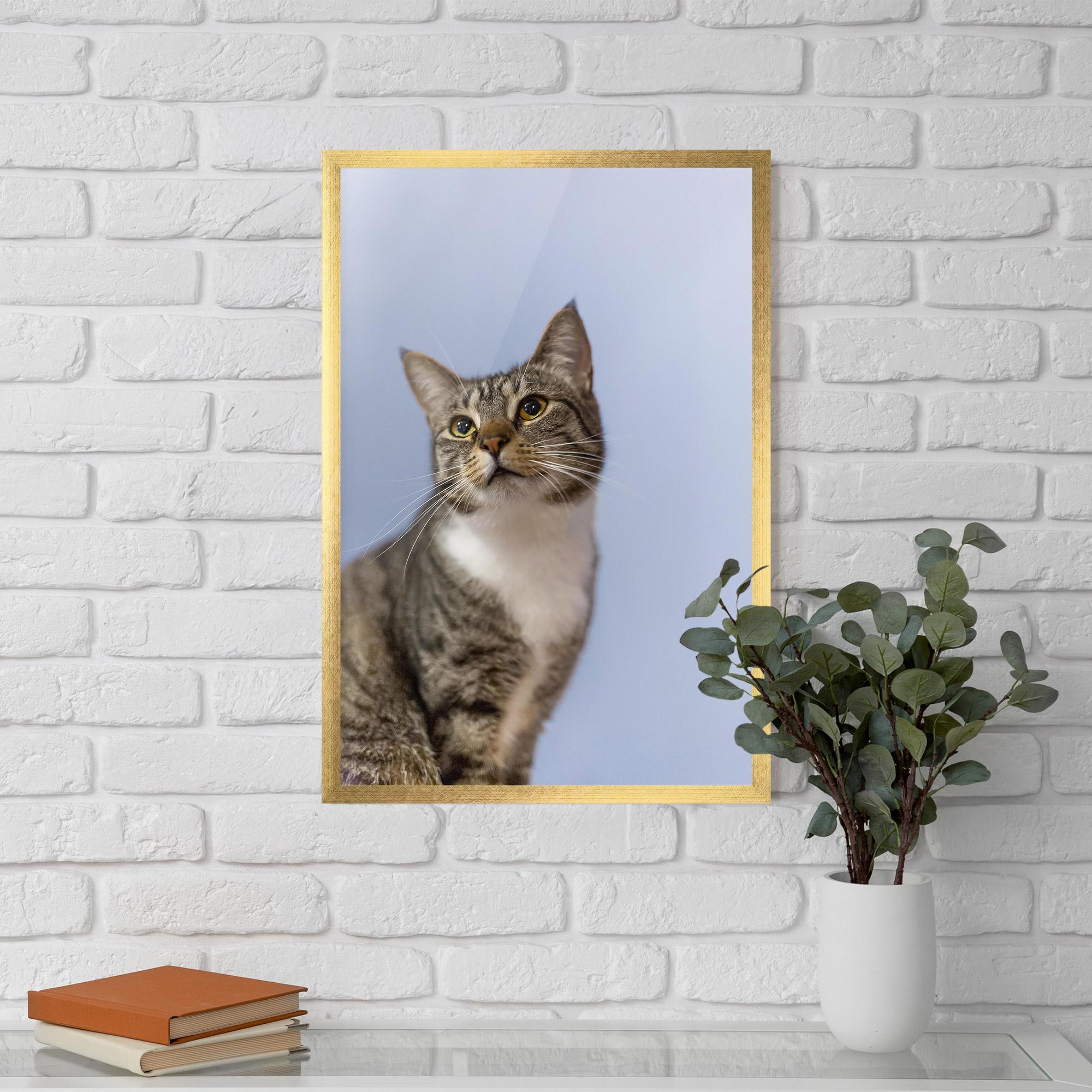 Plakat w Ramie Yellow Eyes Cat mockup 5