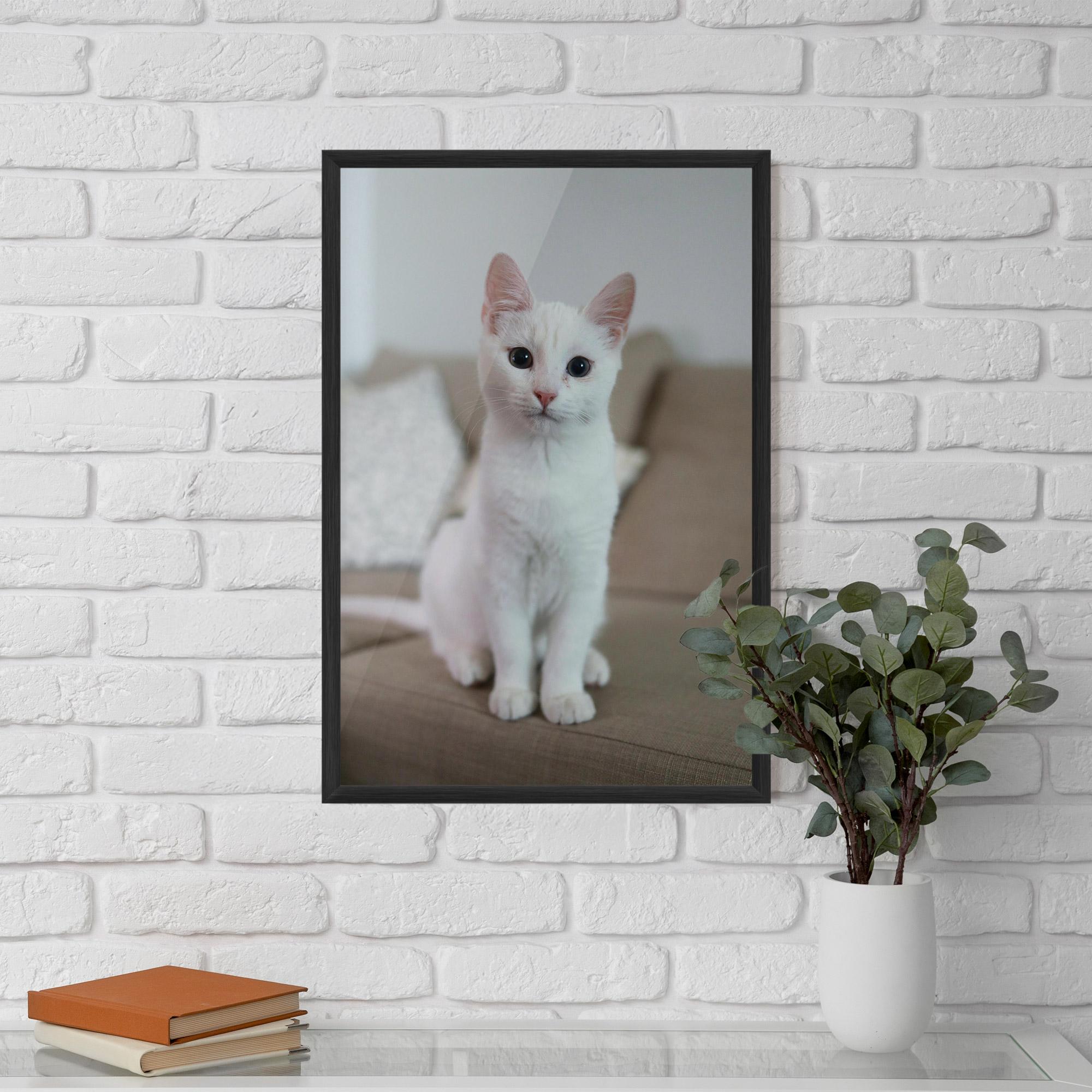 Plakat w Ramie Beautiful White Cat mockup 5