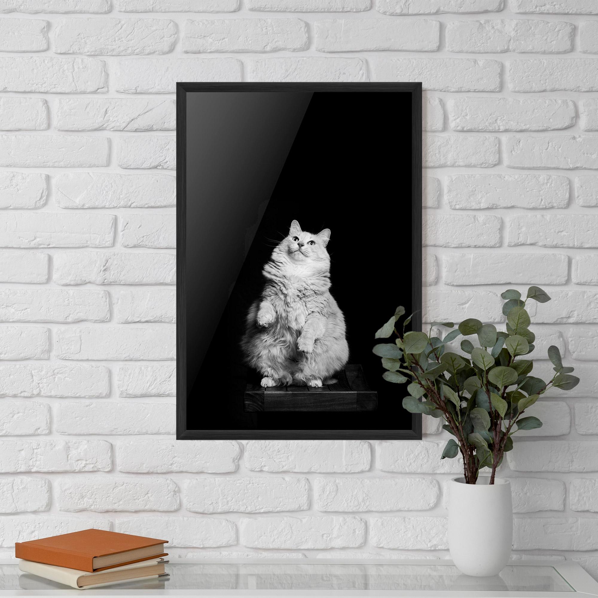 Plakat w Ramie Big Fluffy Cat mockup 5