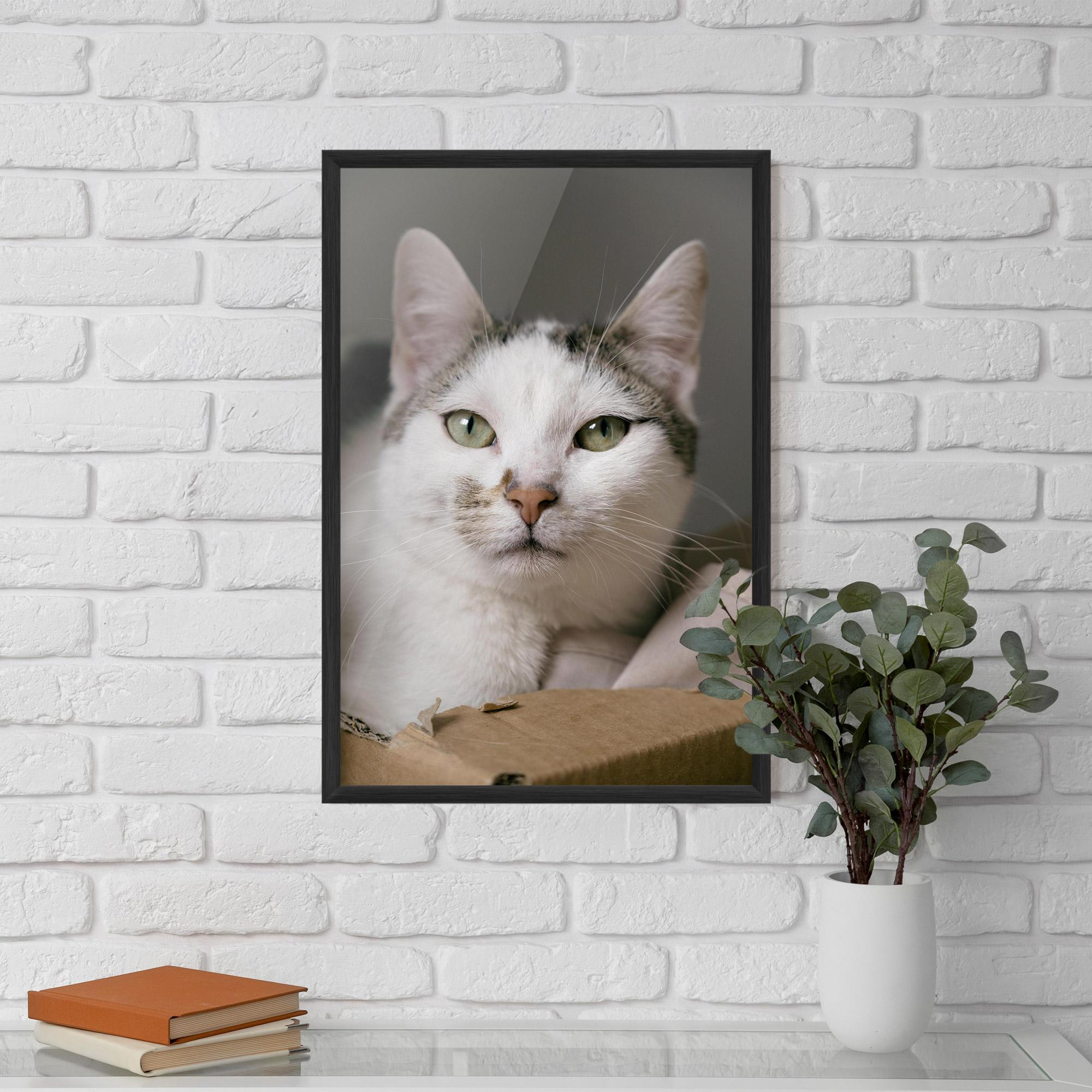 Plakat w Ramie Big Sleepy Cat mockup 5