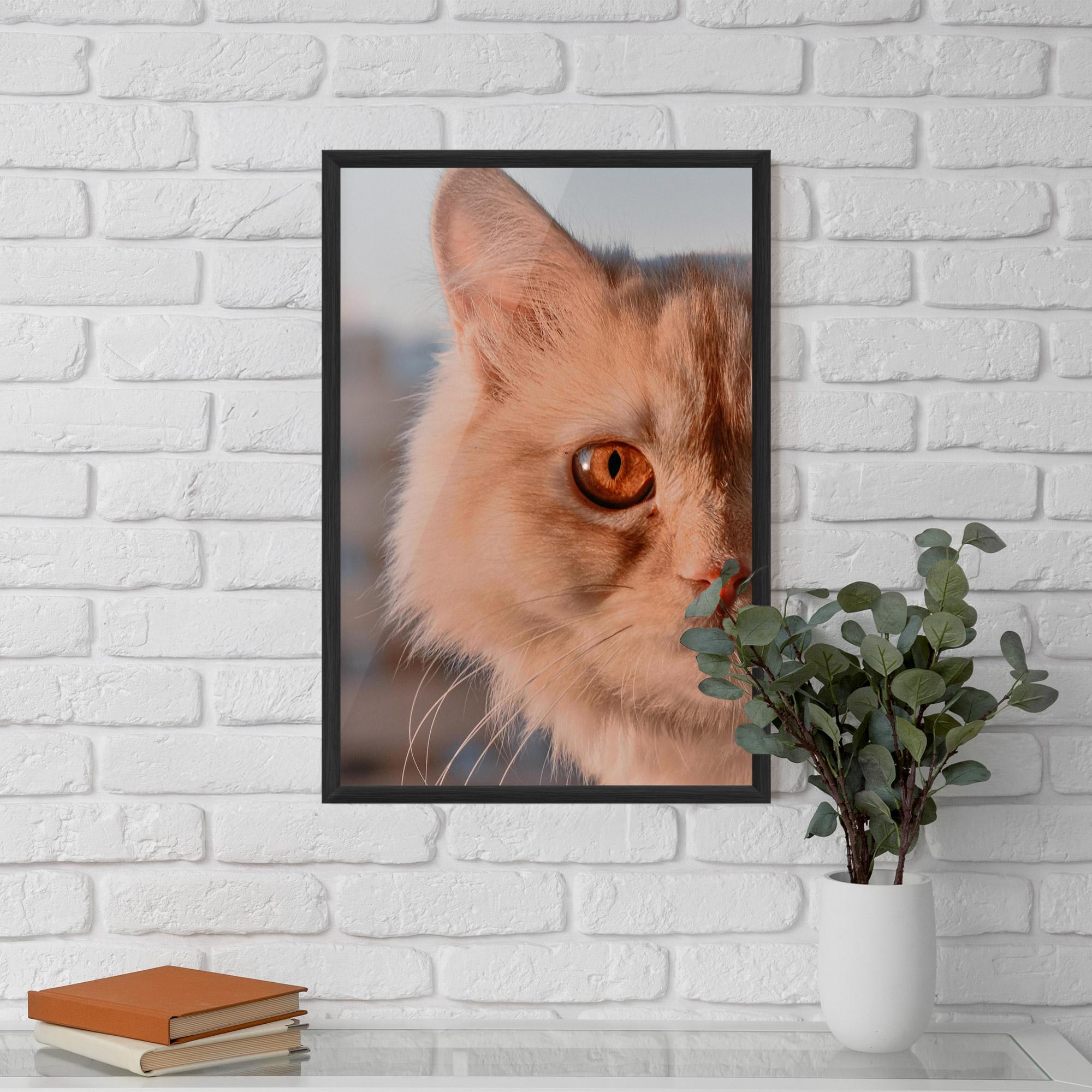 Plakat w Ramie Cat Eye In Sun mockup 5