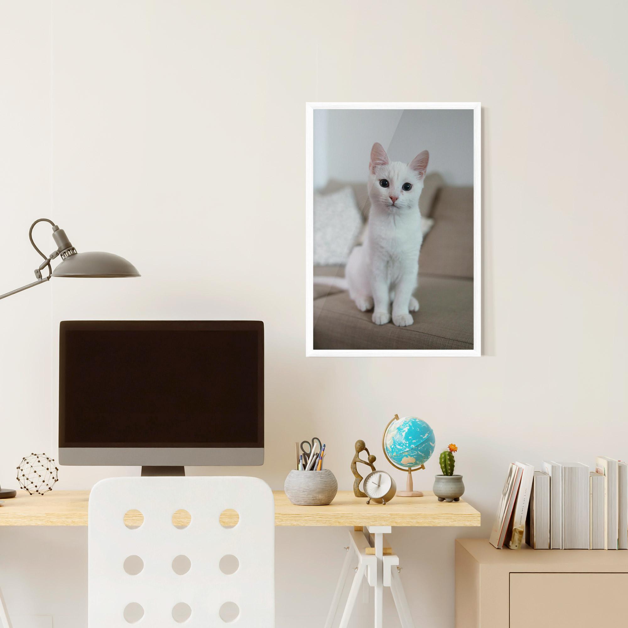 Plakat w Ramie Beautiful White Cat mockup 6
