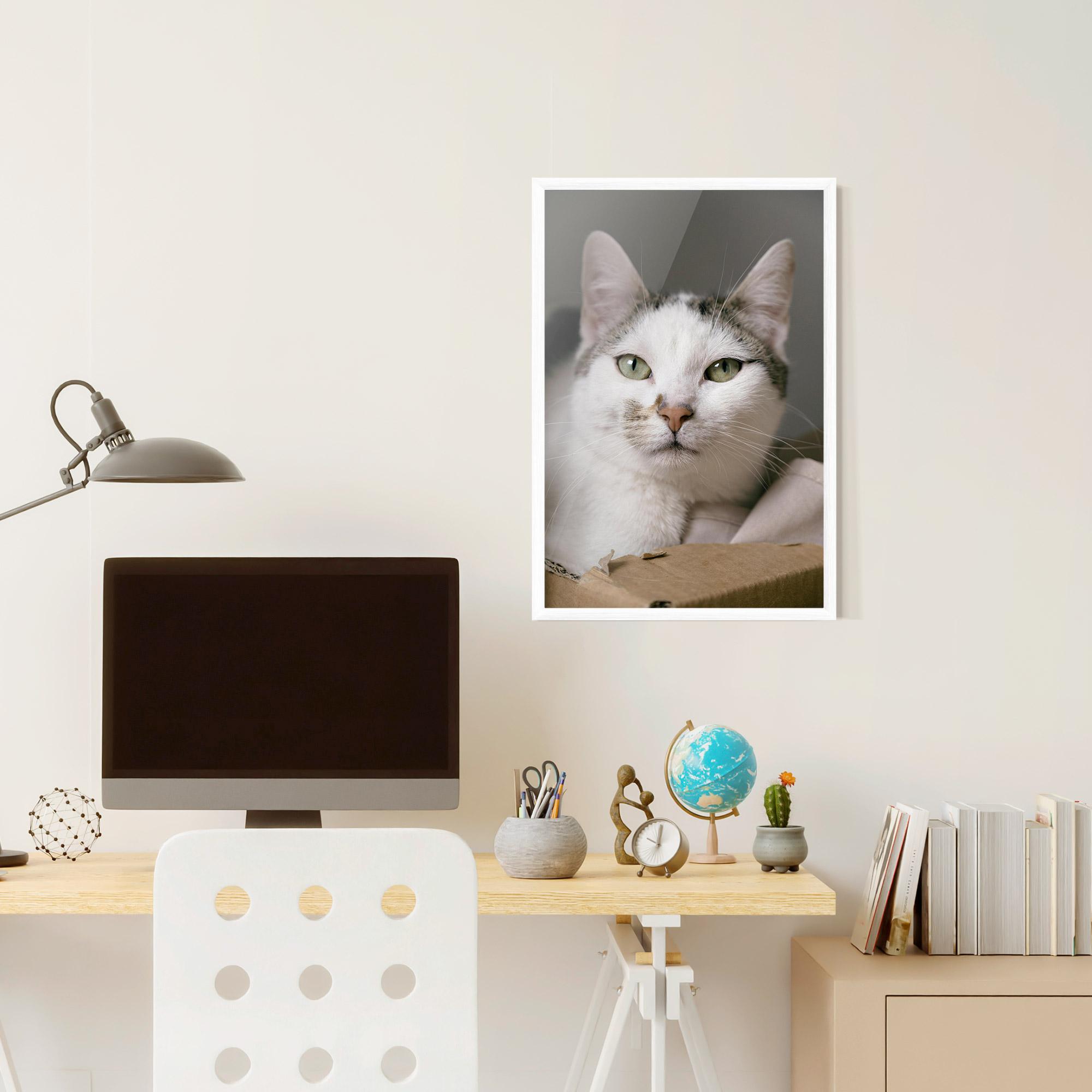 Plakat w Ramie Big Sleepy Cat mockup 6