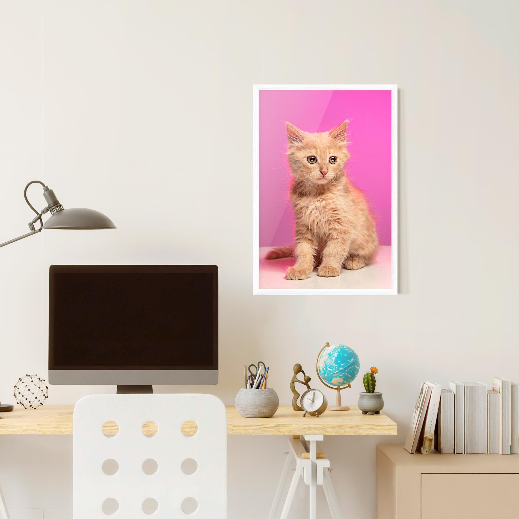 Plakat w Ramie Orange Cat On Pink mockup 6