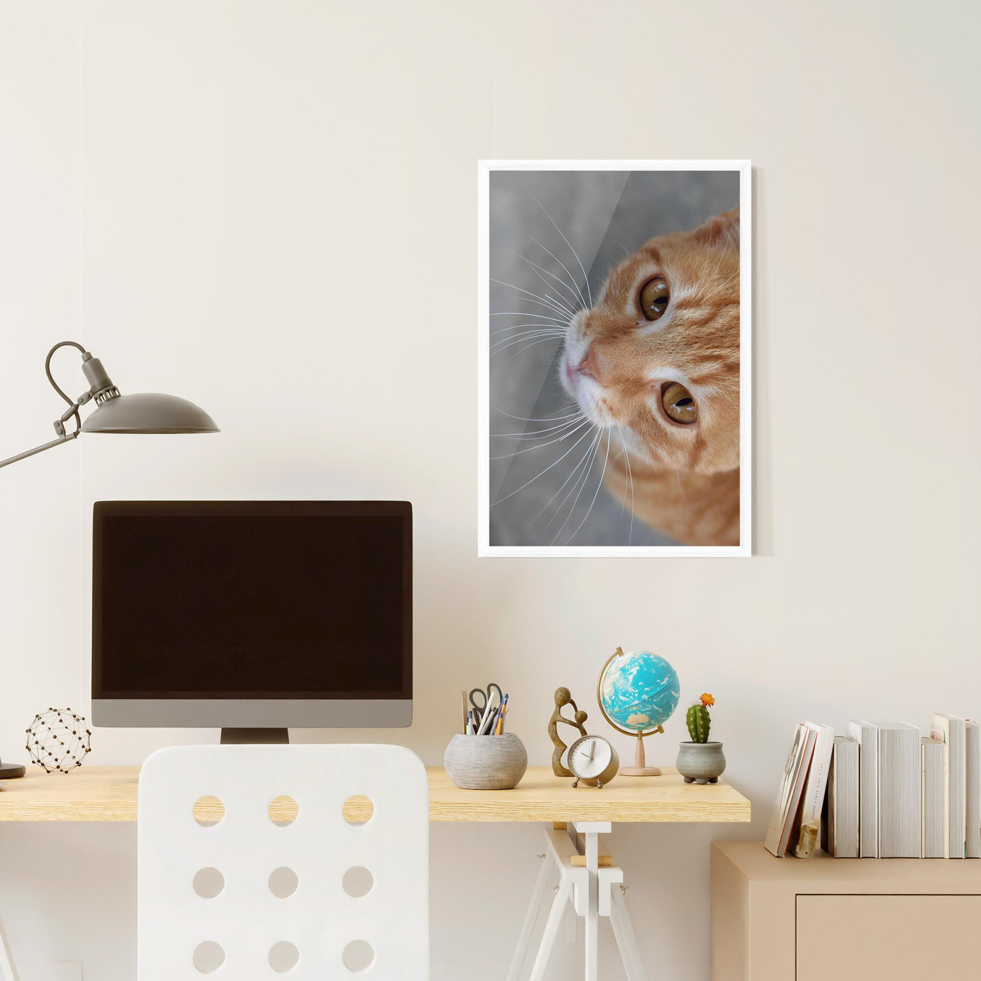 Plakat w Ramie Pretty Orange Eyes Cat mockup 6