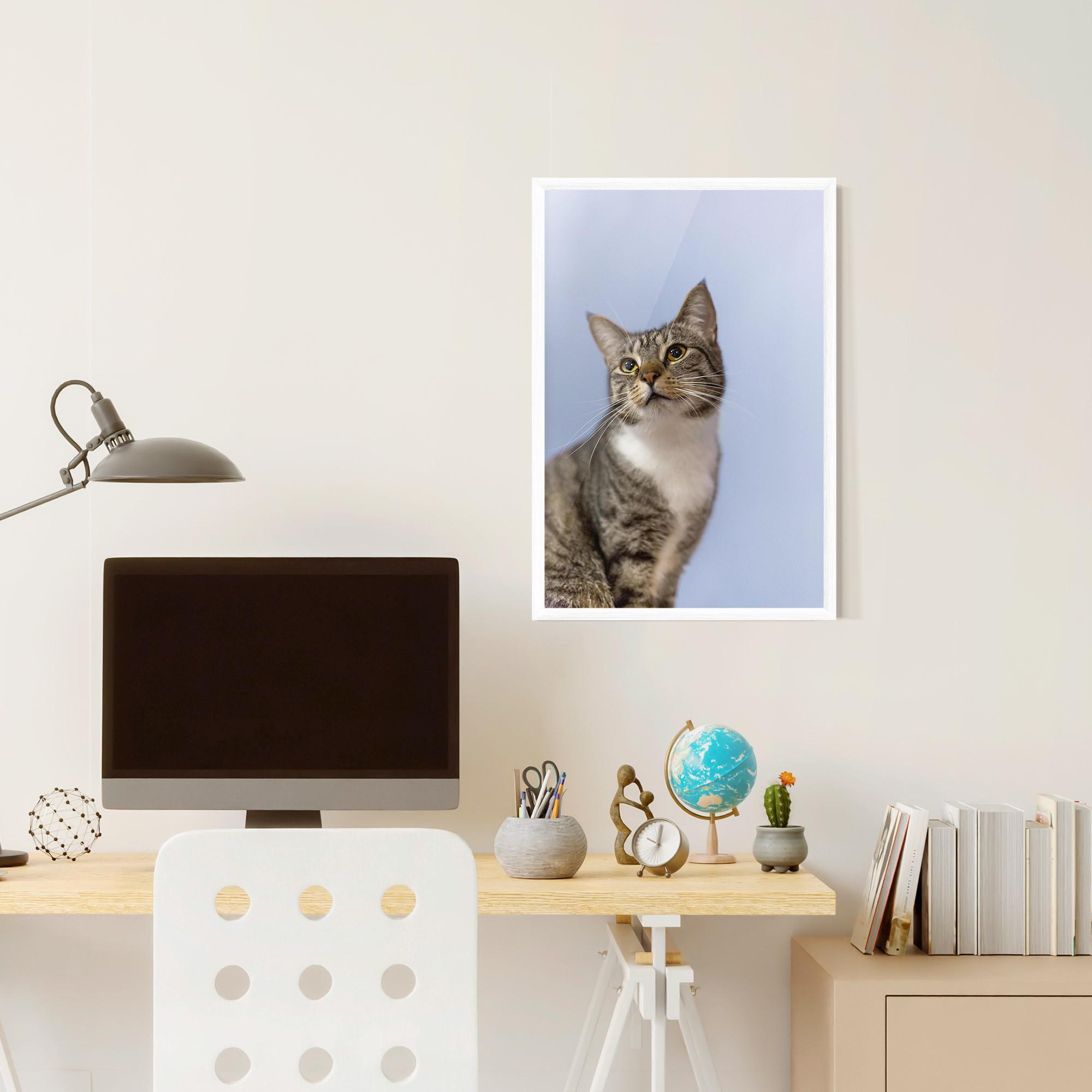Plakat w Ramie Yellow Eyes Cat mockup 6