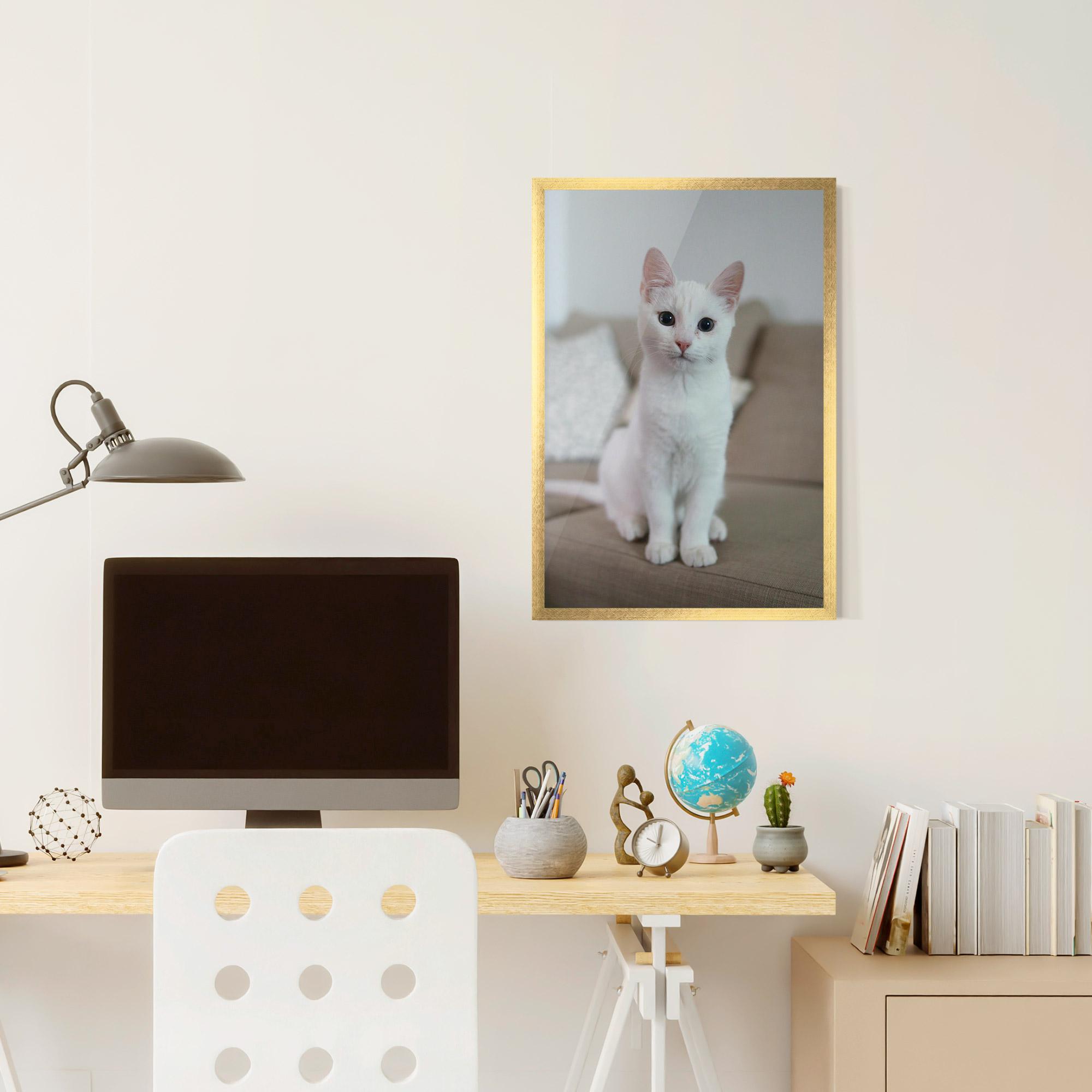 Plakat w Ramie Beautiful White Cat mockup 6