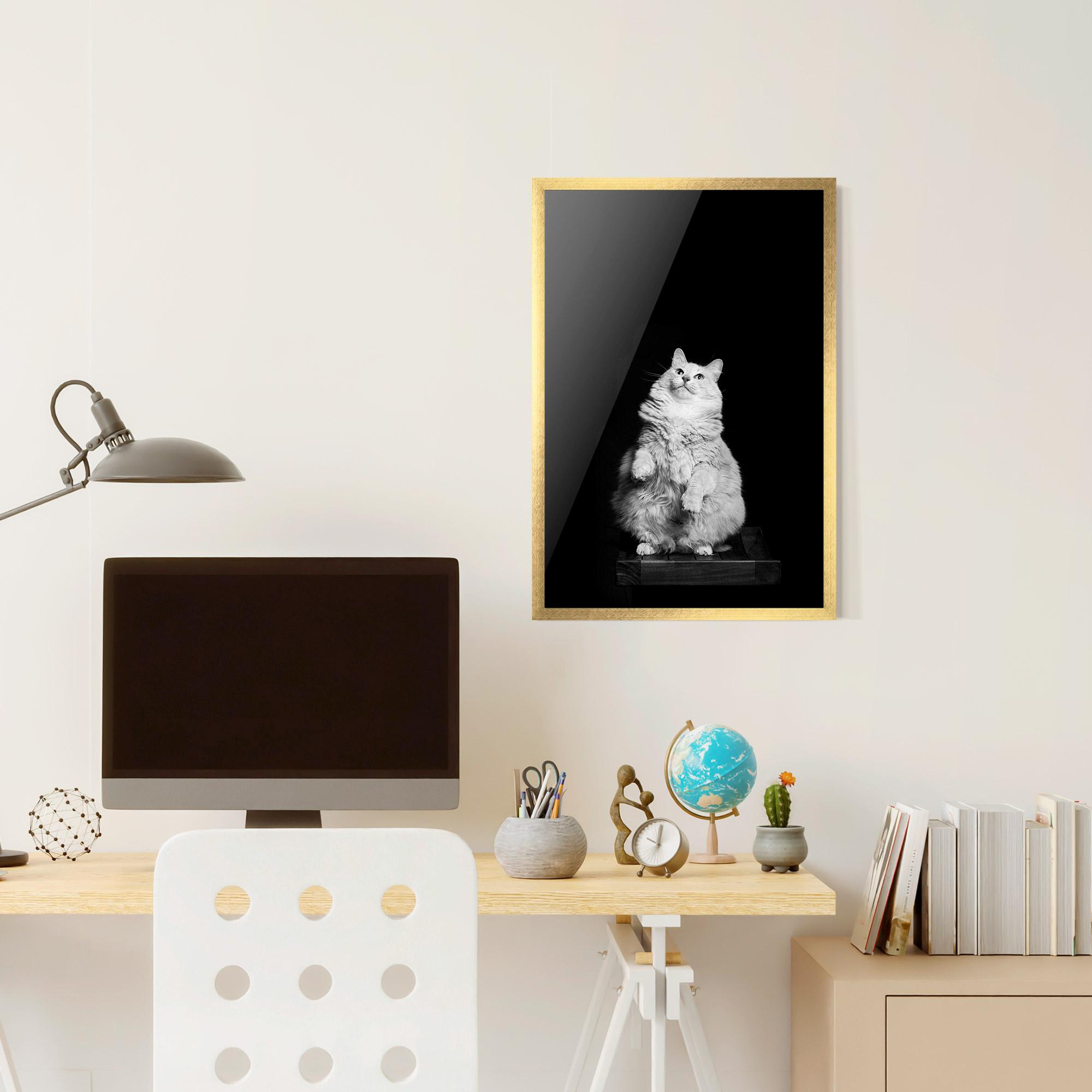 Plakat w Ramie Big Fluffy Cat mockup 6