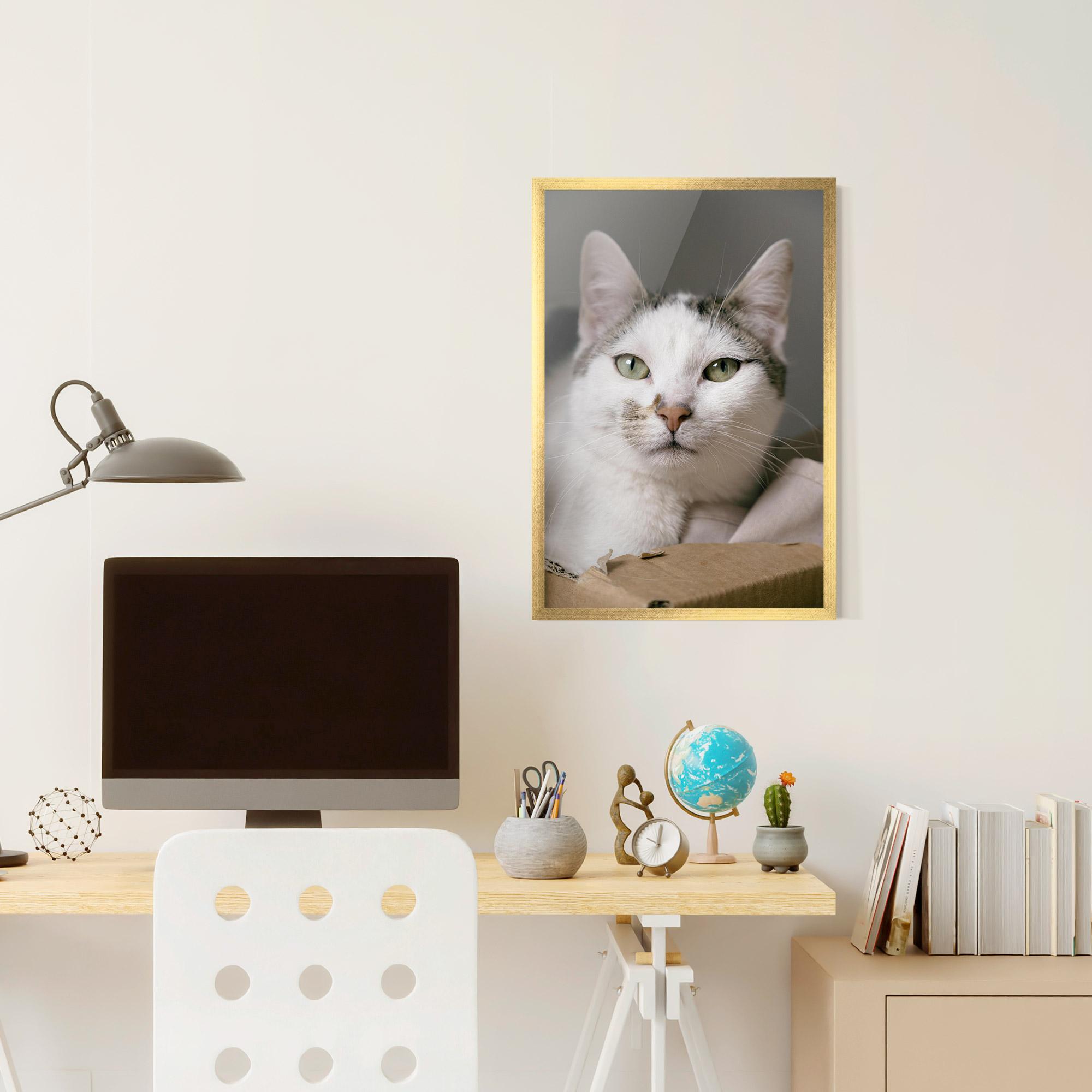 Plakat w Ramie Big Sleepy Cat mockup 6