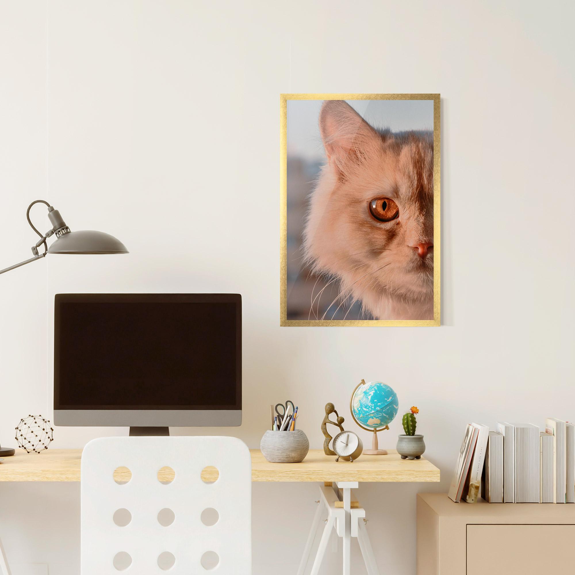 Plakat w Ramie Cat Eye In Sun mockup 6