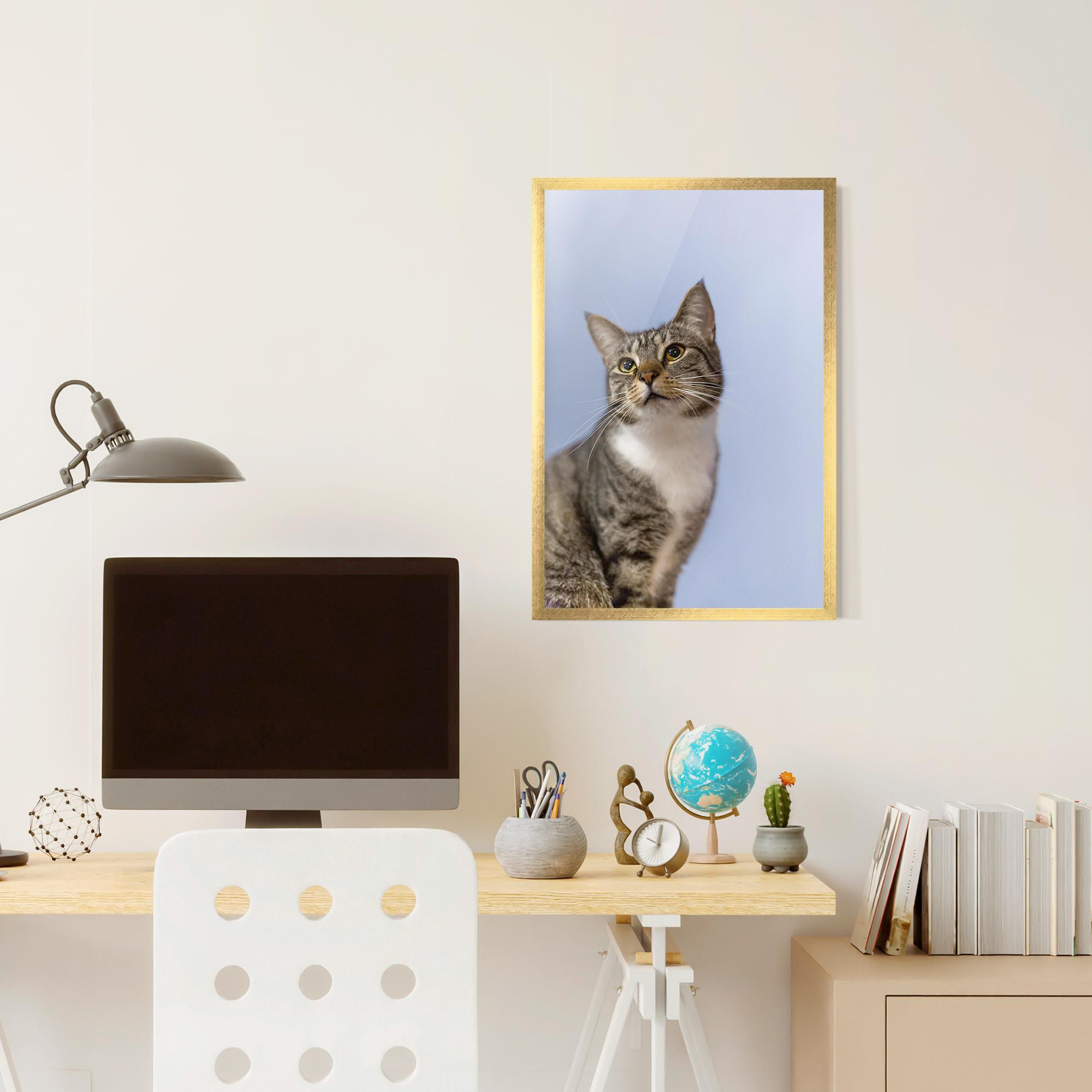 Plakat w Ramie Yellow Eyes Cat mockup 6