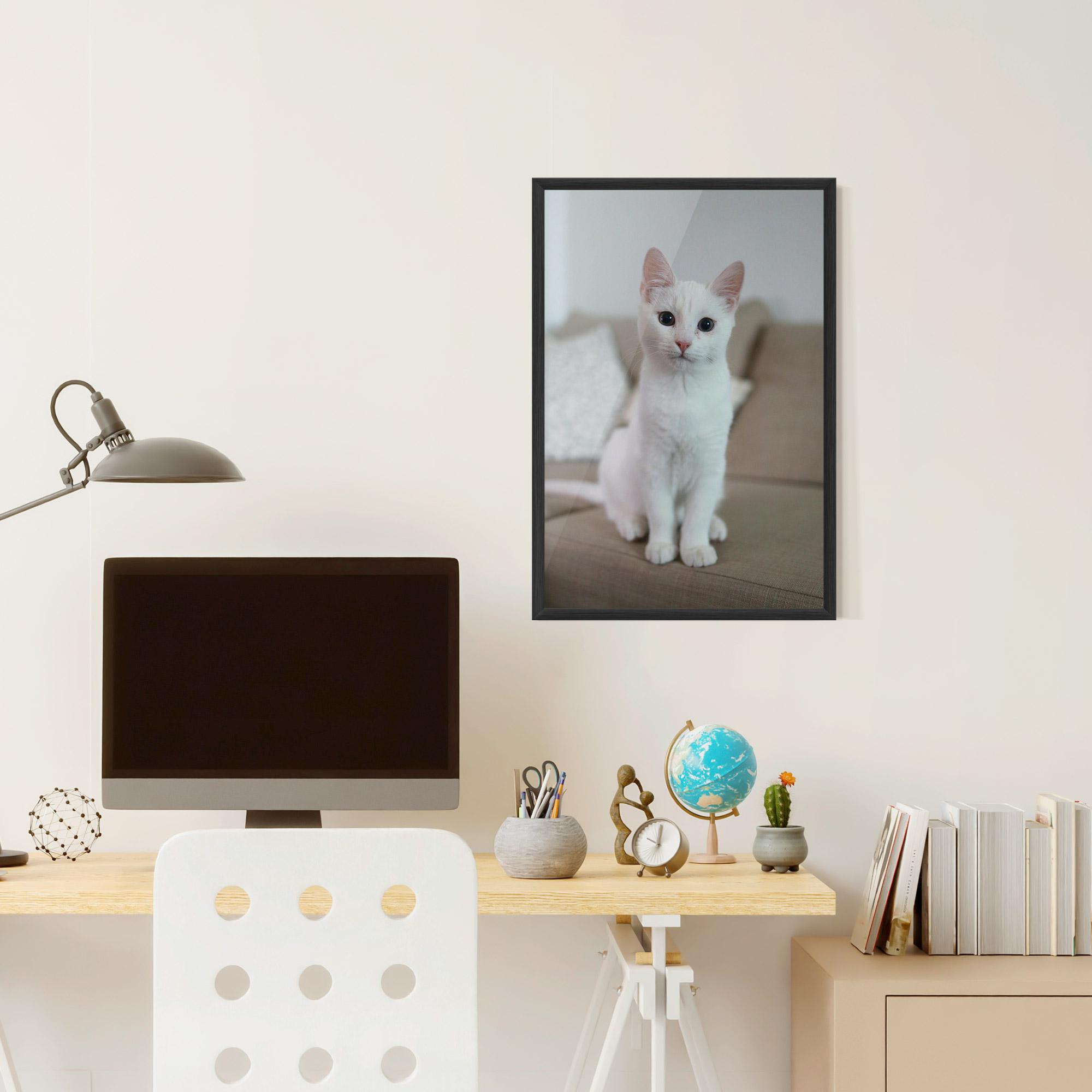 Plakat w Ramie Beautiful White Cat mockup 6
