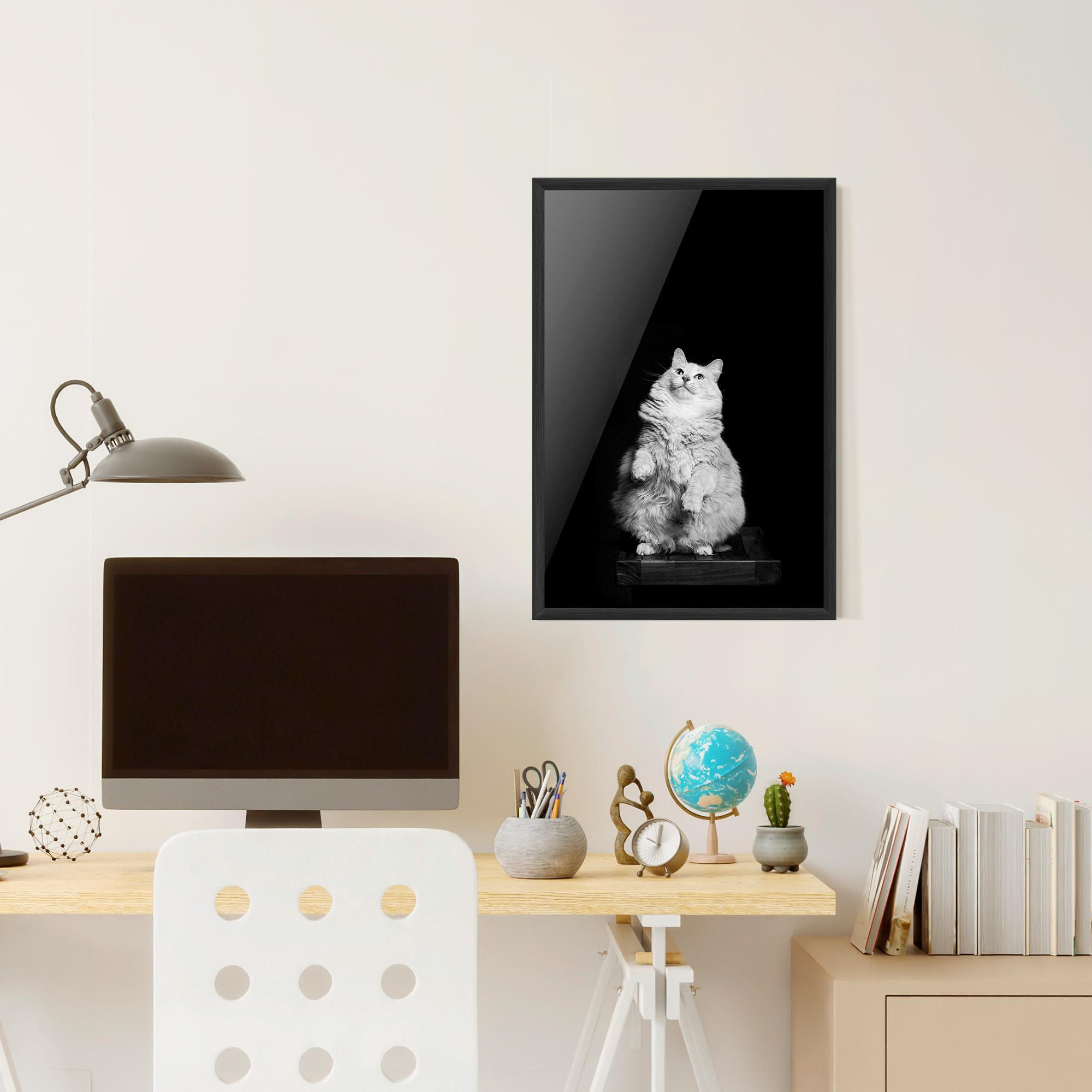 Plakat w Ramie Big Fluffy Cat mockup 6